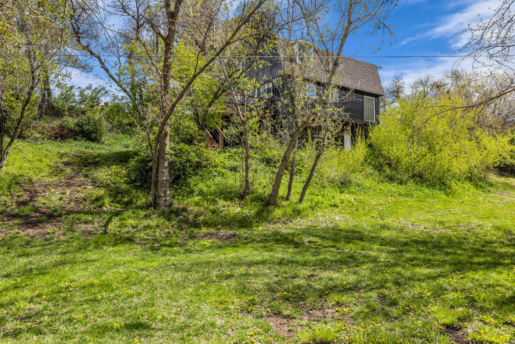main property photo 38