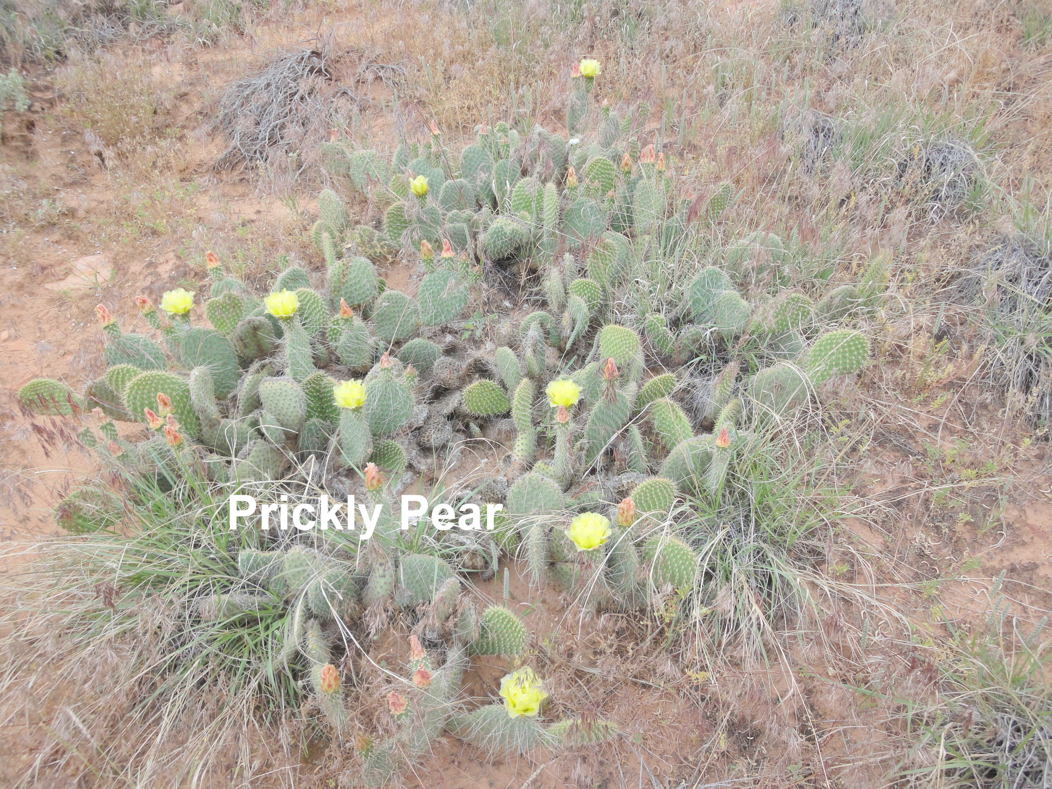 main property photo 25