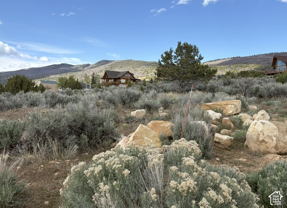 main property photo 6