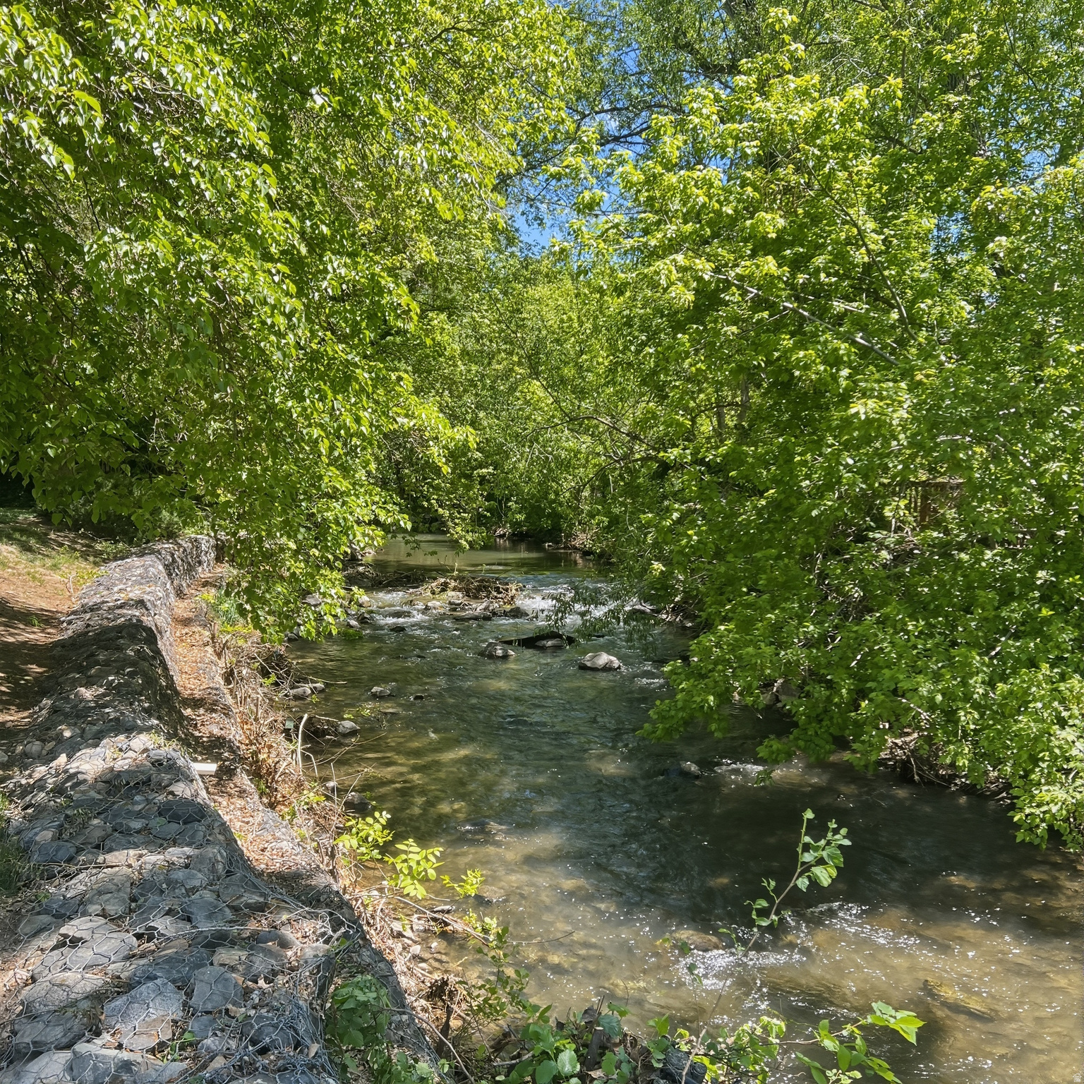 main property photo 33
