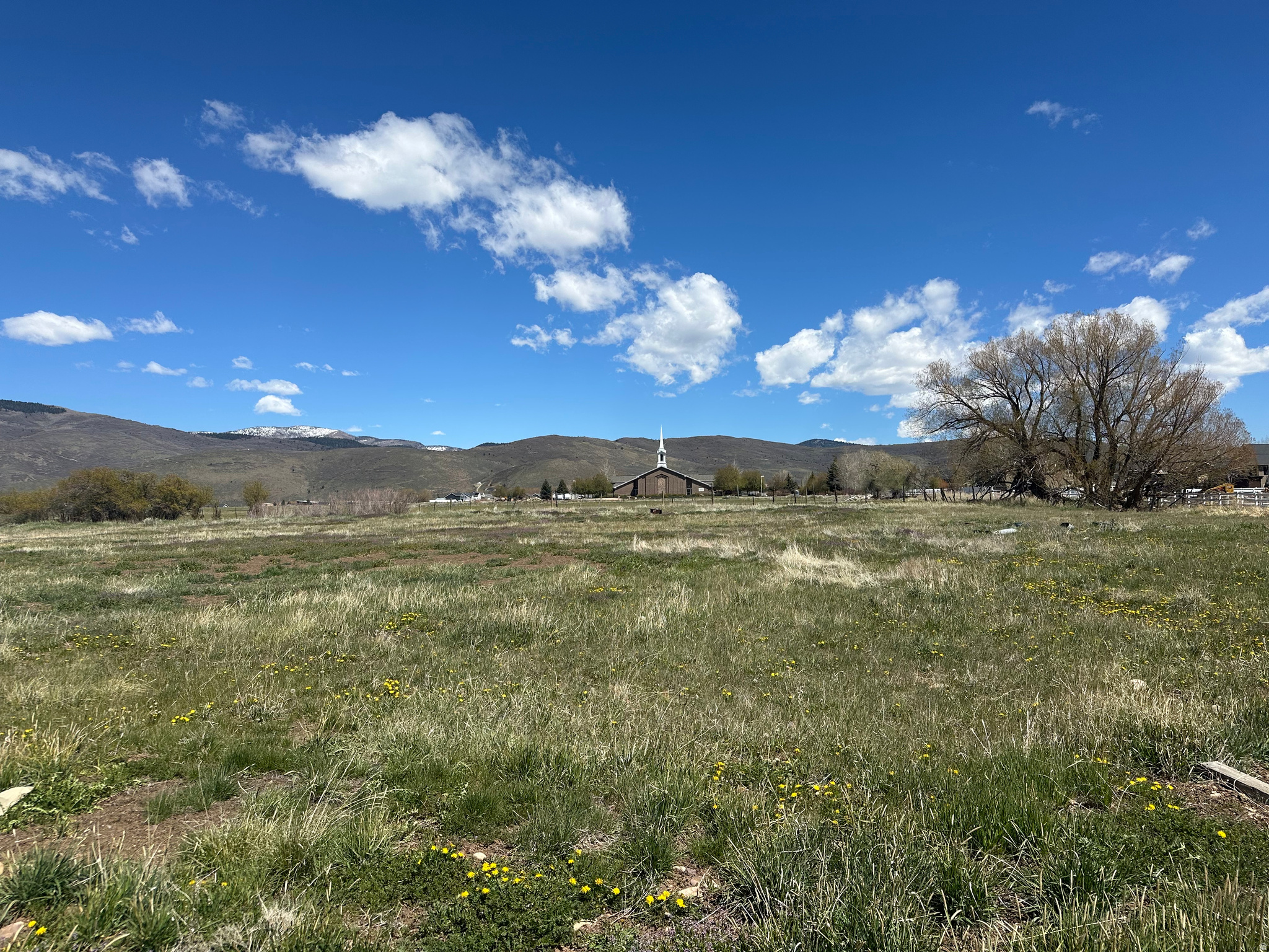 main property photo 10