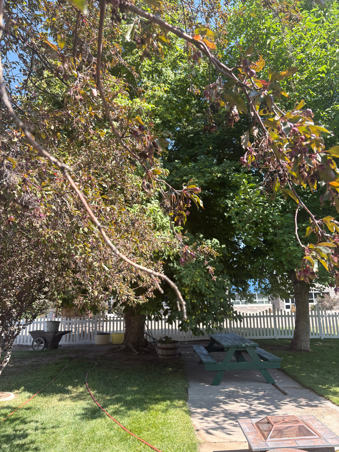 main property photo 17