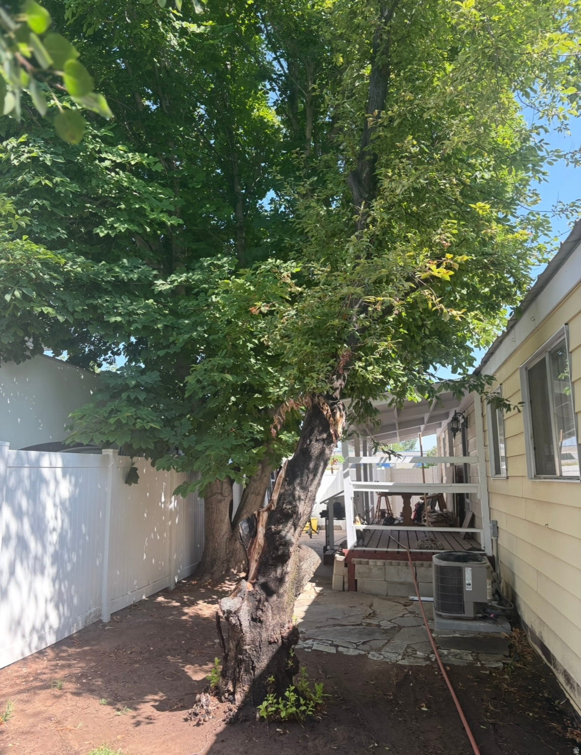 main property photo 31