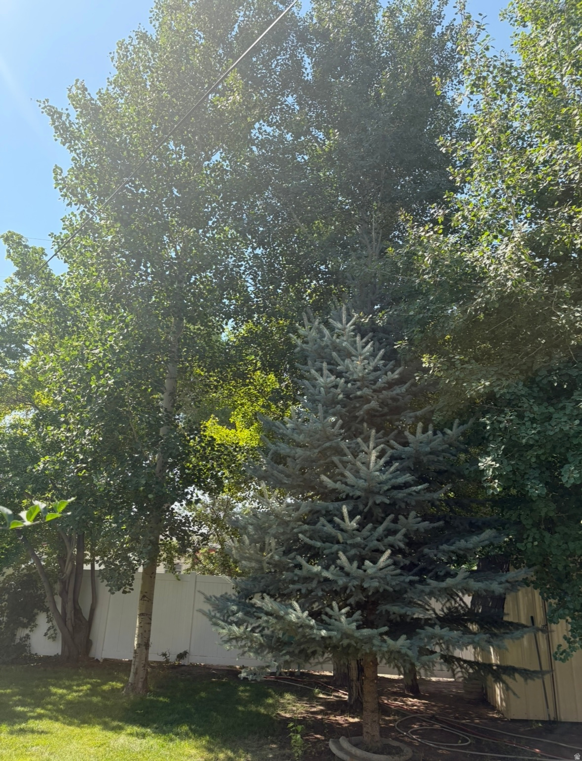 main property photo 43