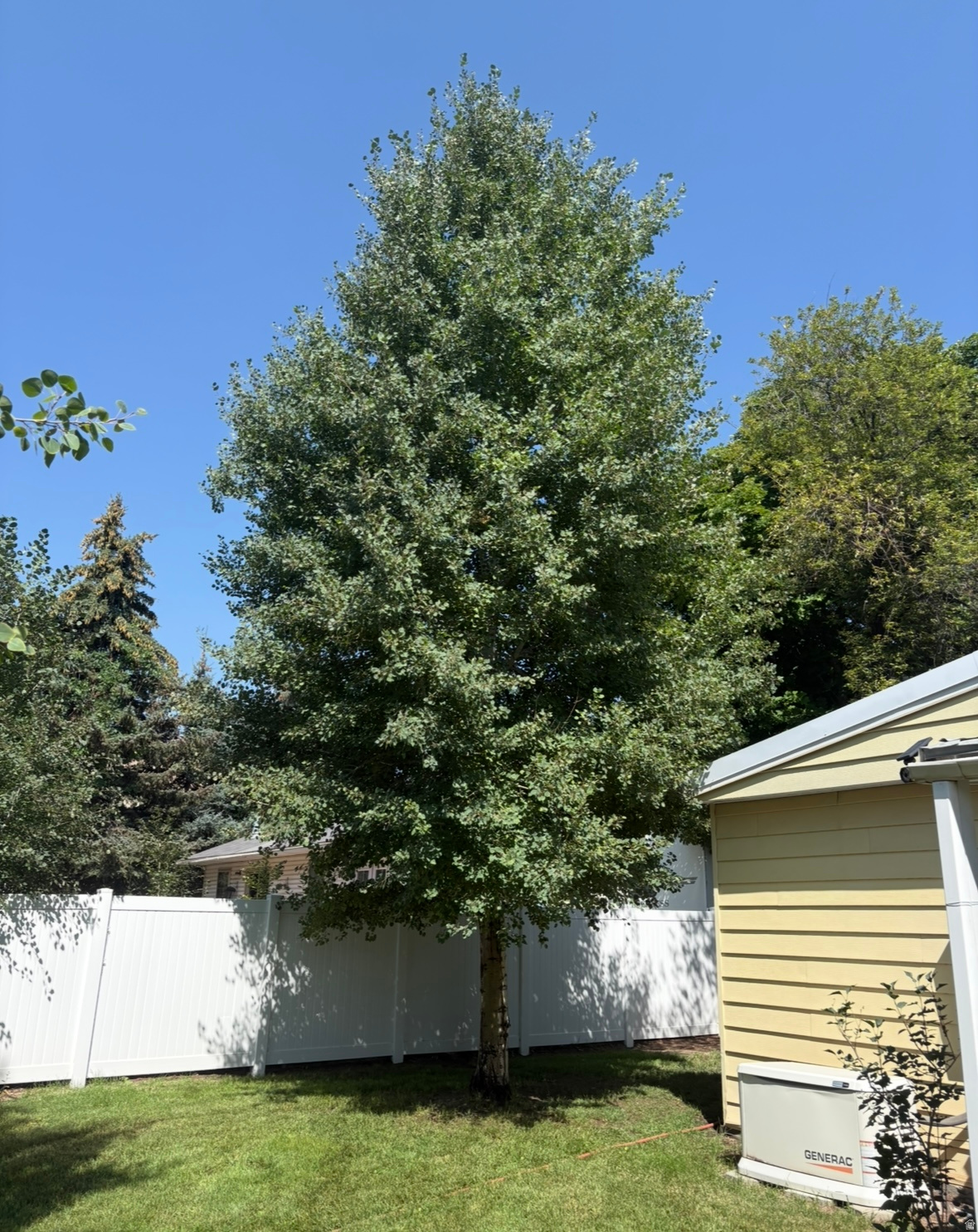 main property photo 45