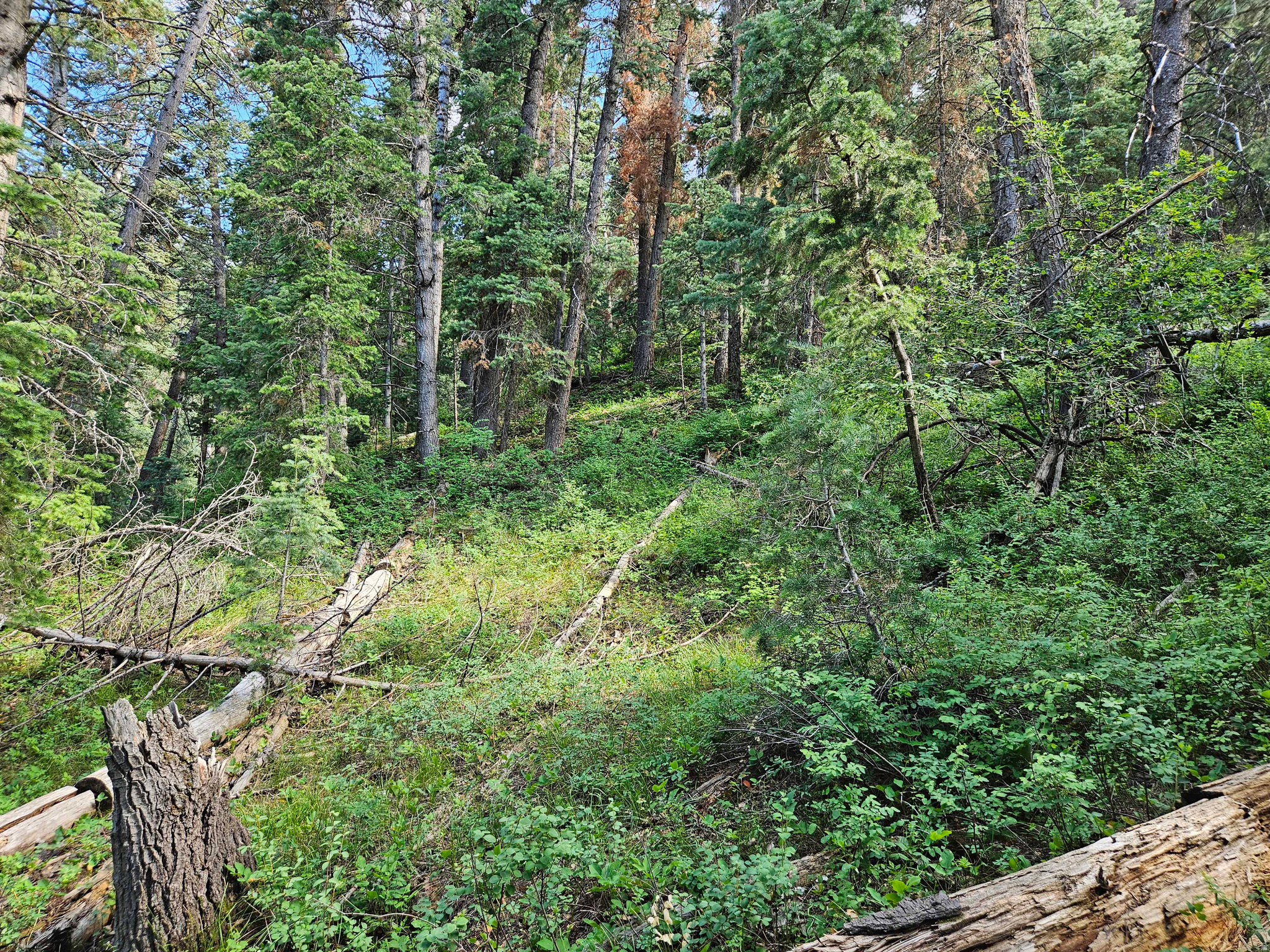 main property photo 11