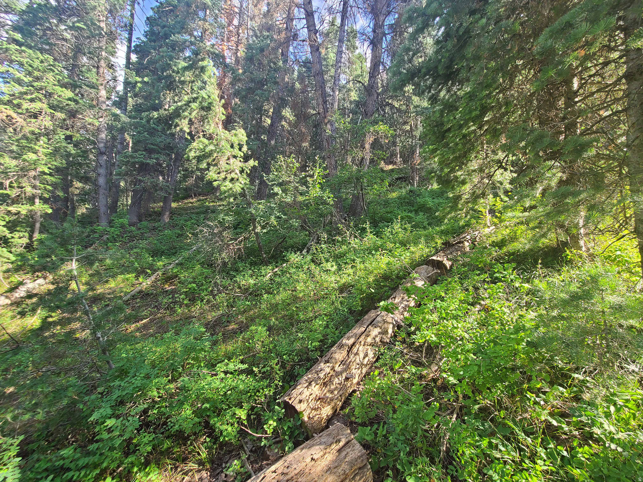 main property photo 12