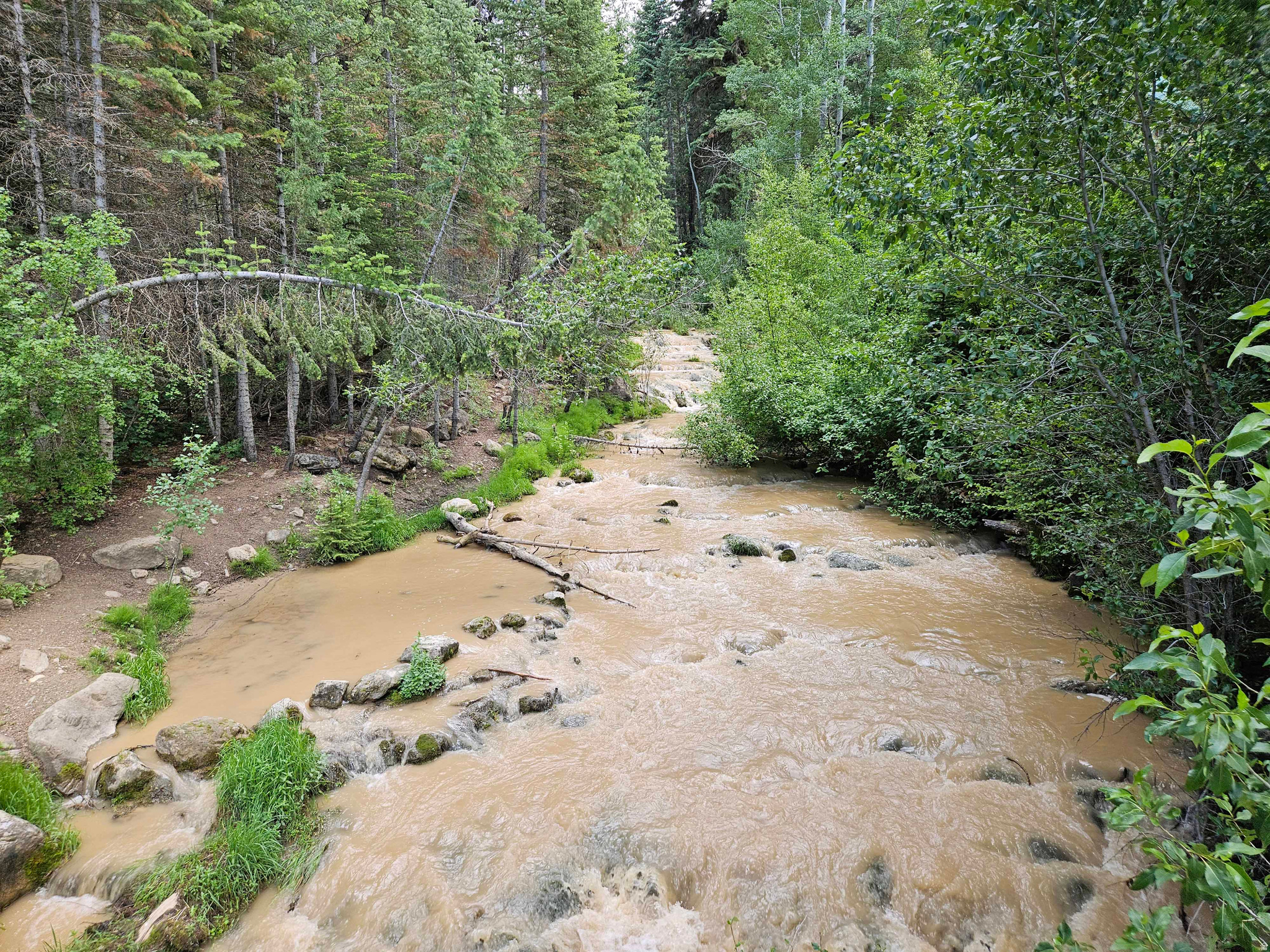 main property photo 5