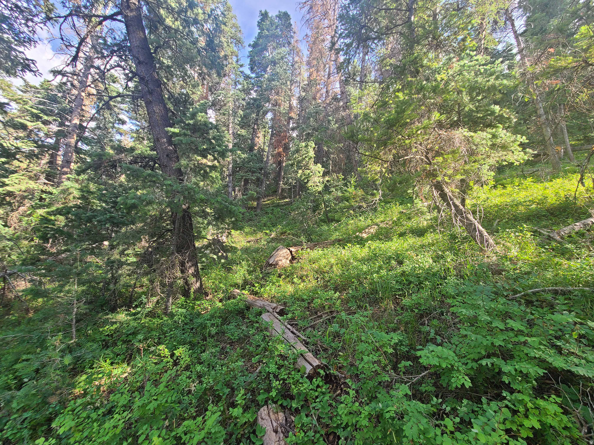 main property photo 6