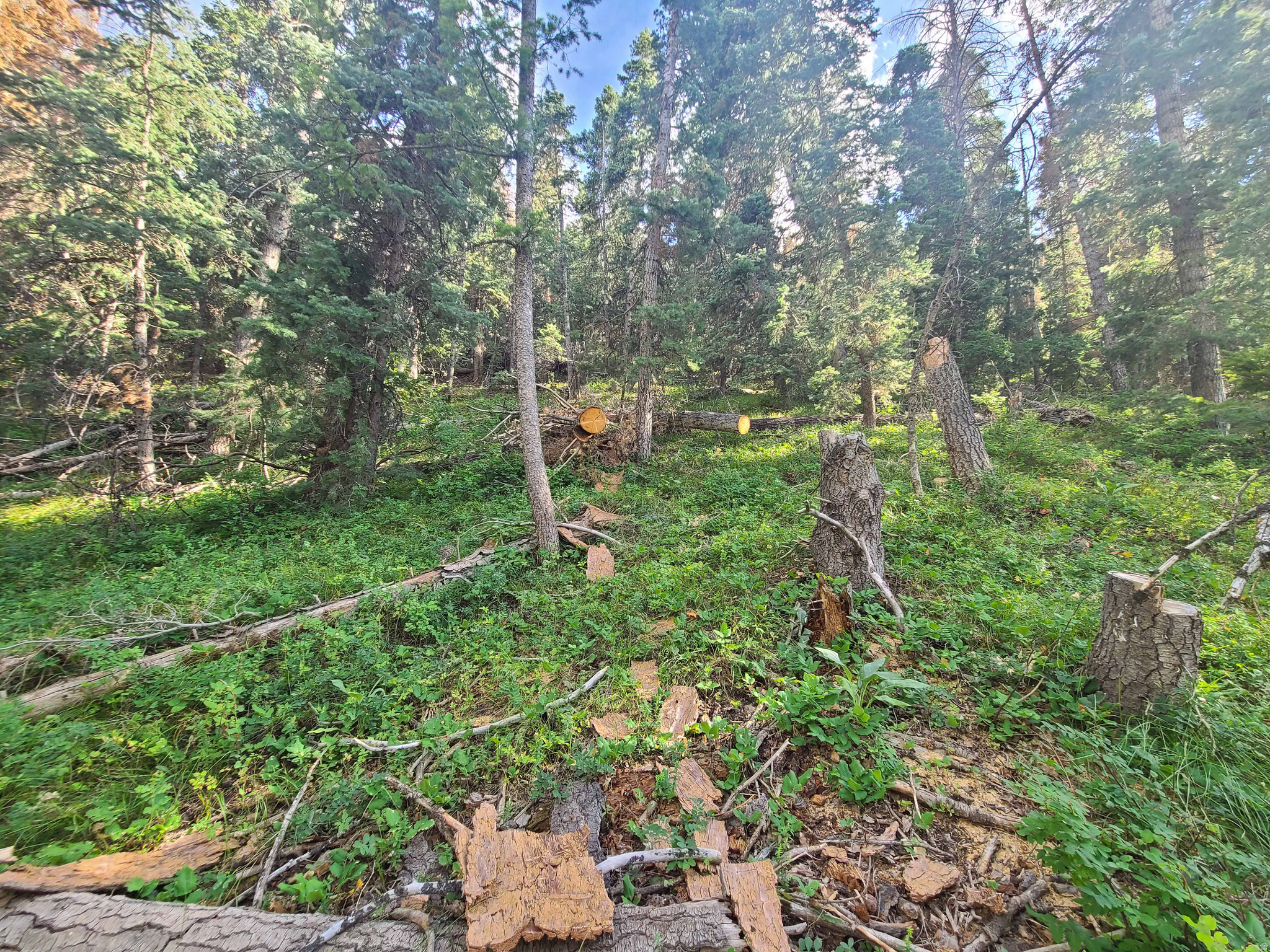 main property photo 7