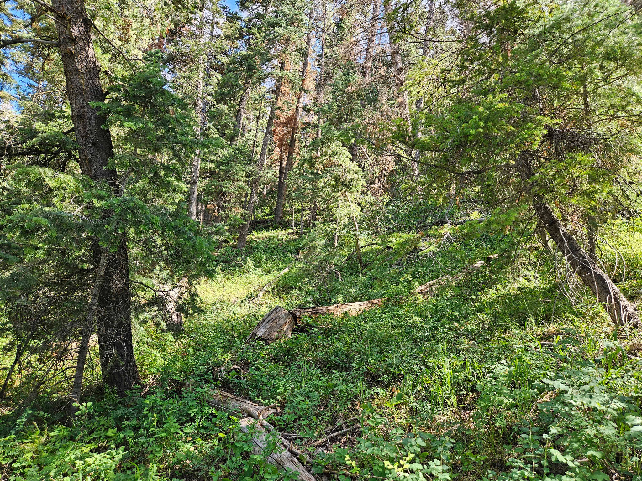 main property photo 8