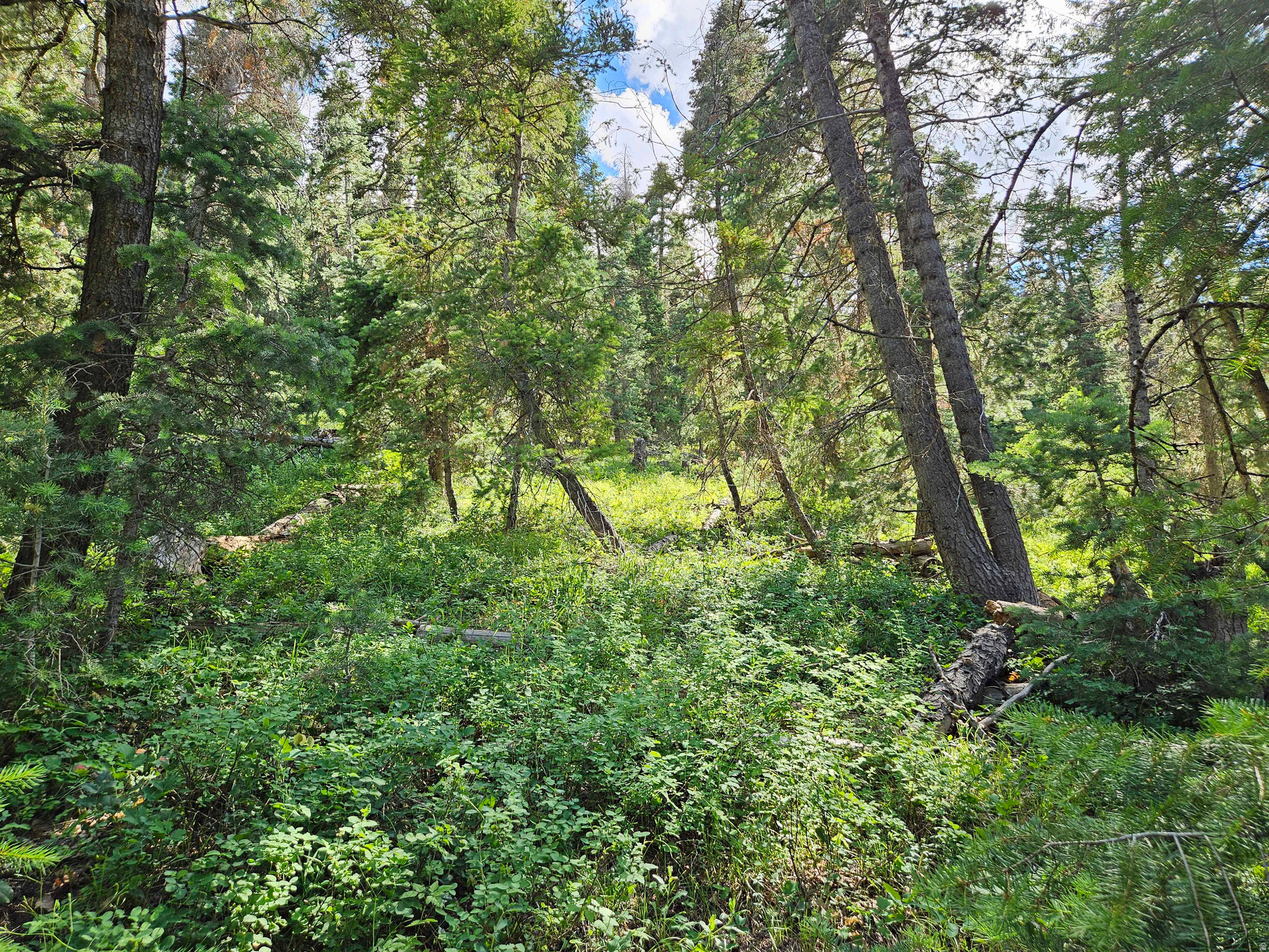 main property photo 9