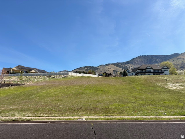 main property photo 37