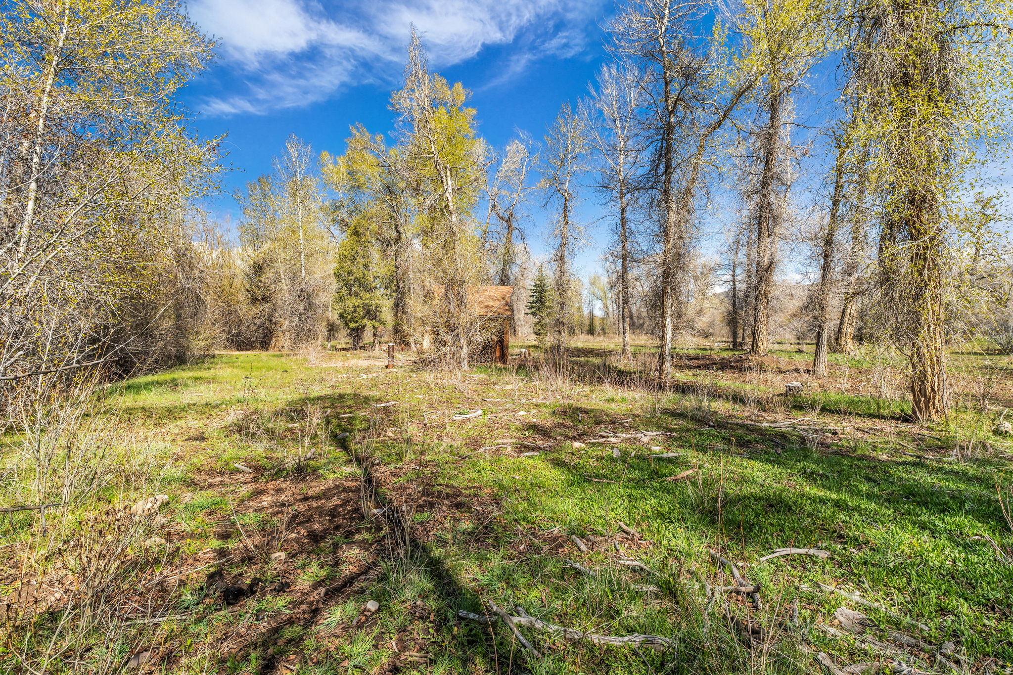 main property photo 14