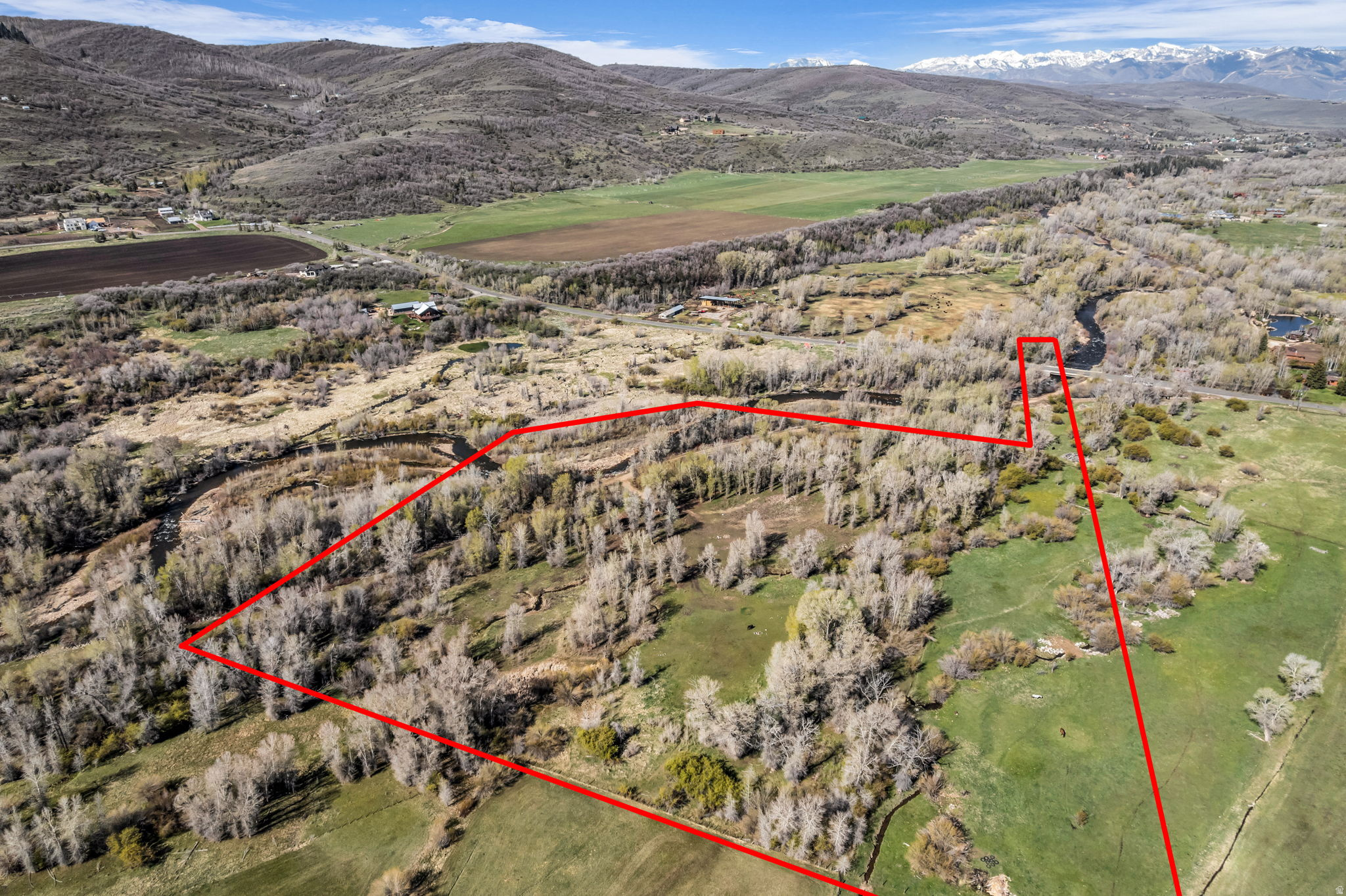 main property photo 4