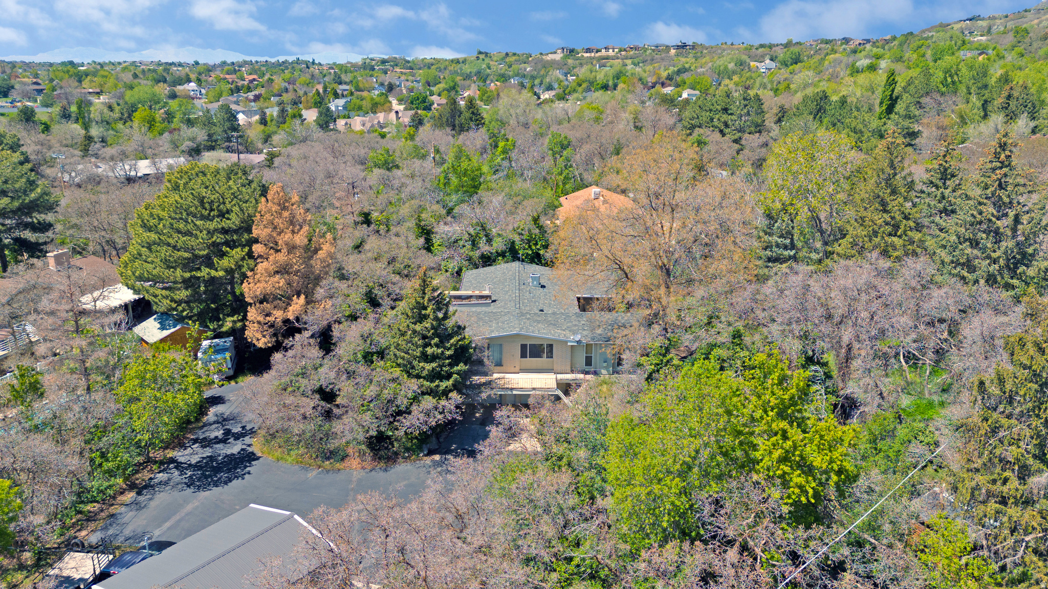 main property photo 48