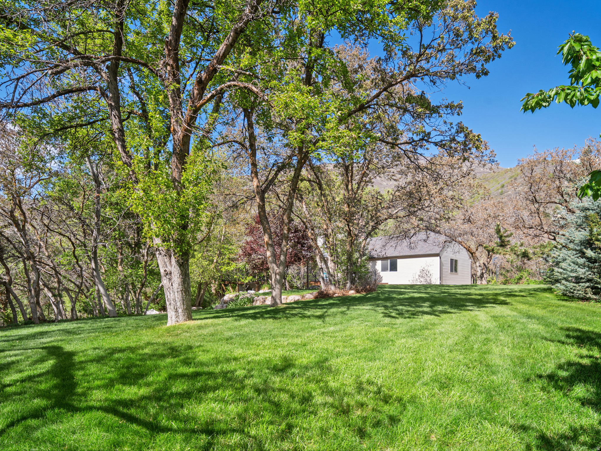 main property photo 89