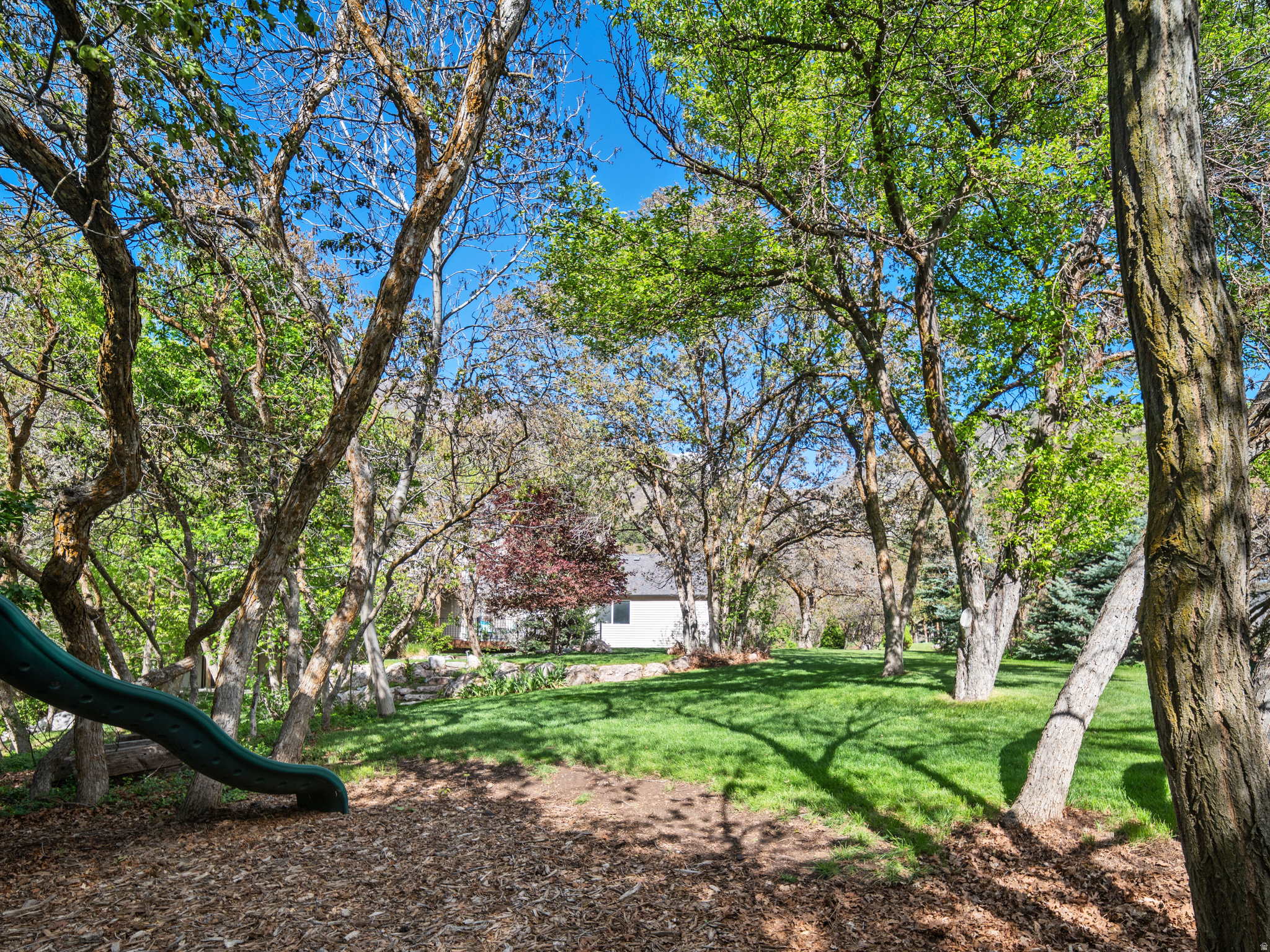 main property photo 91