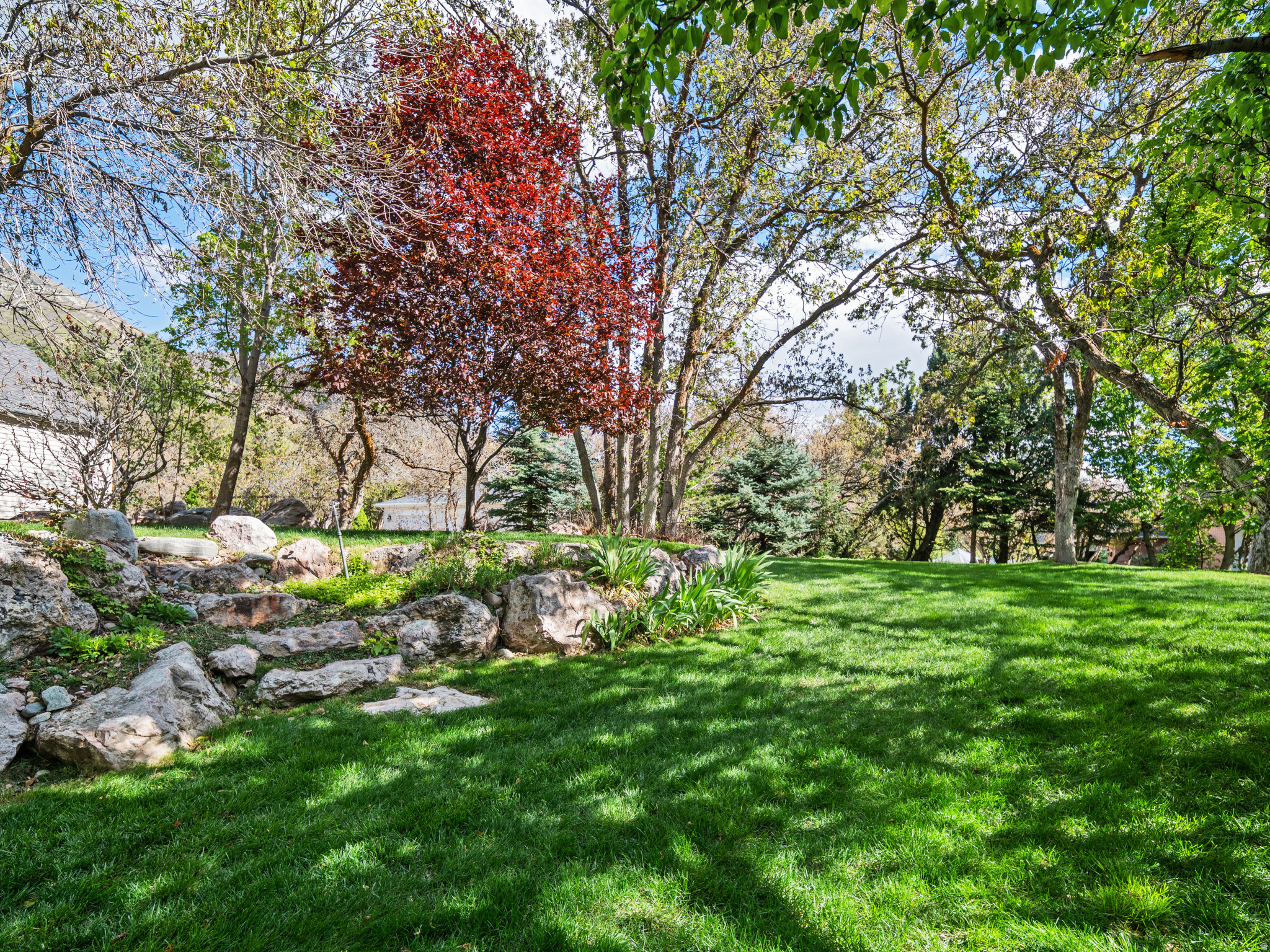 main property photo 94