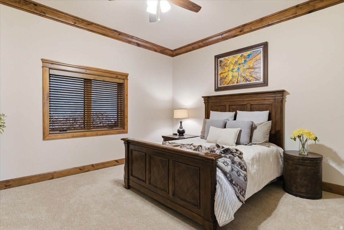 main property photo 52