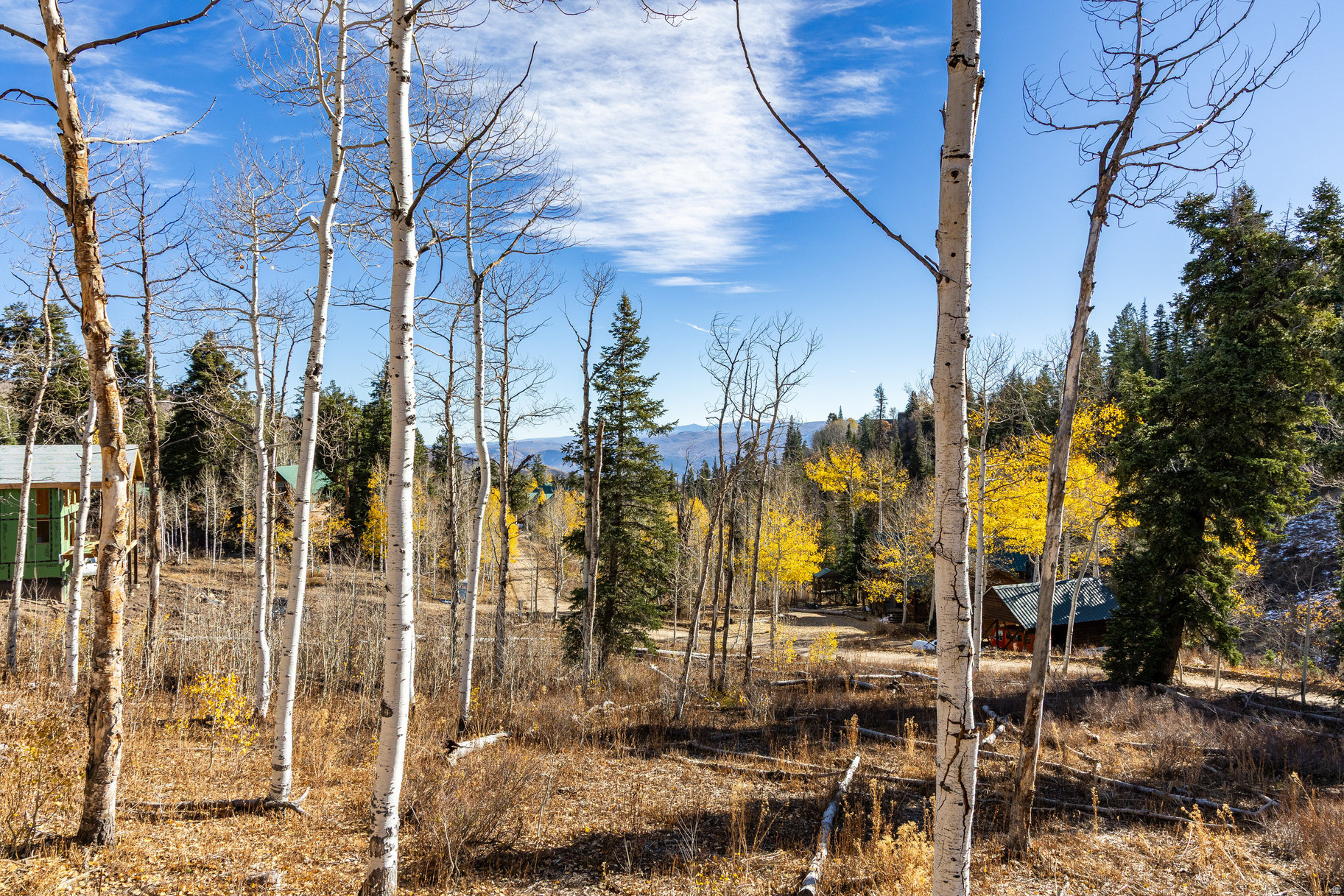 main property photo 29