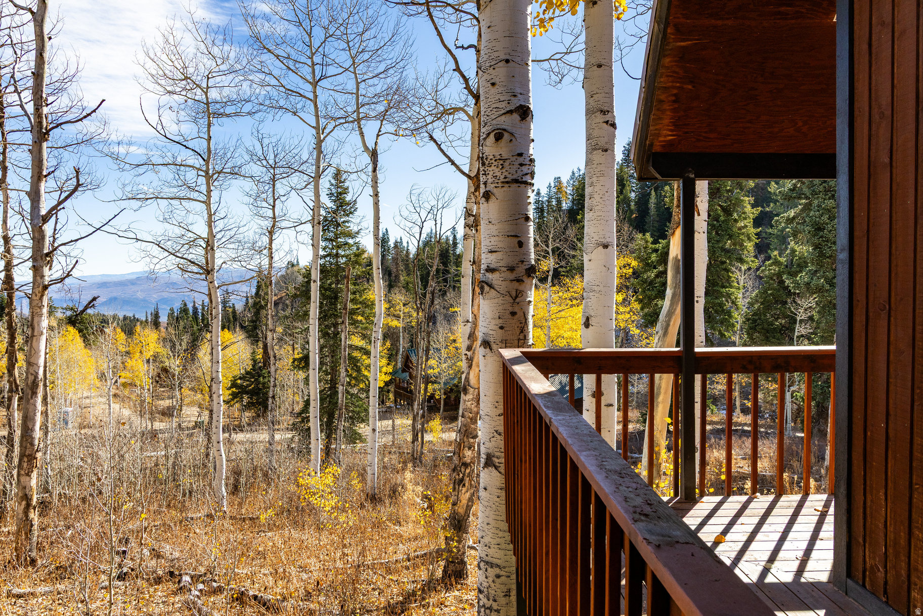 main property photo 30