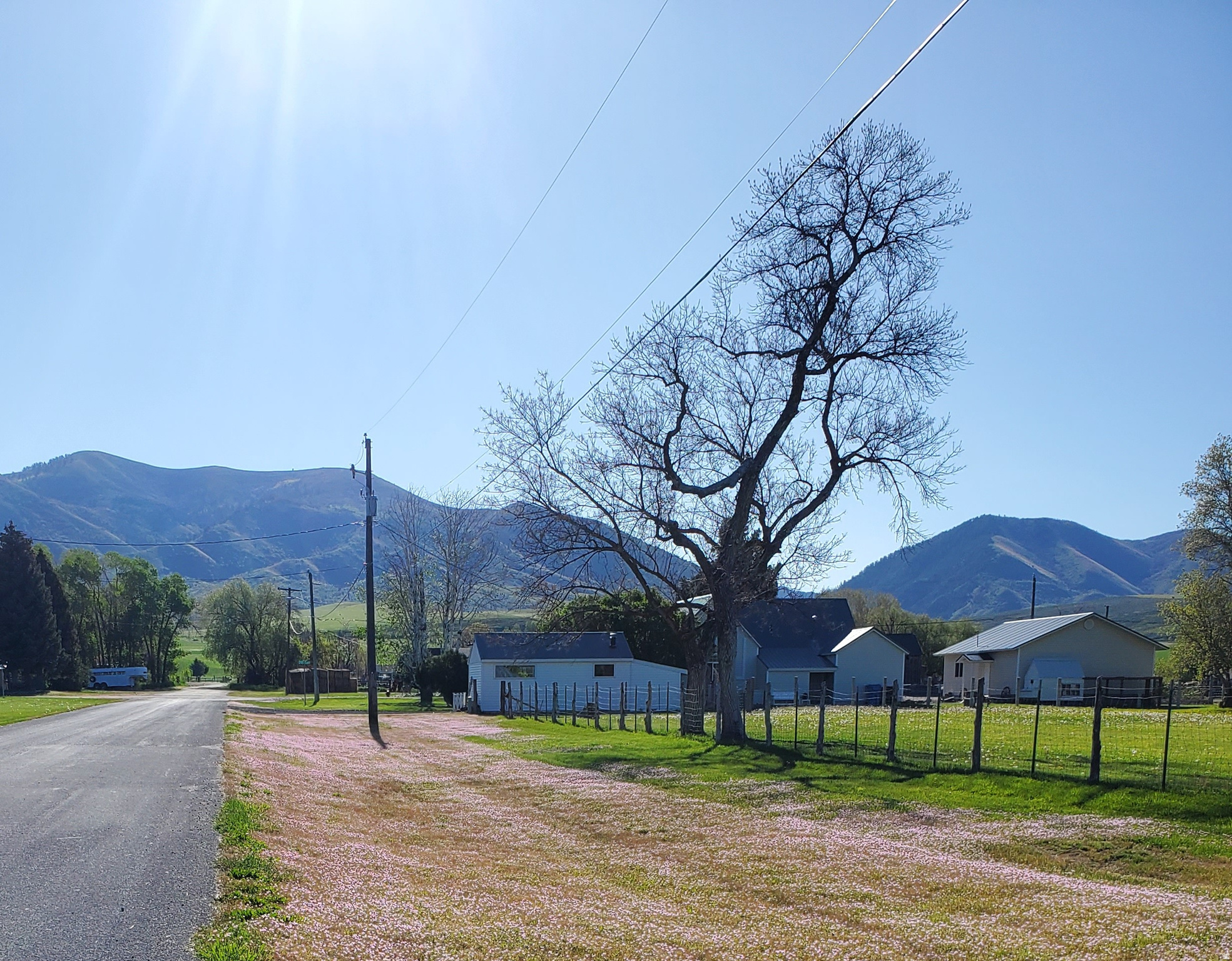 main property photo 31