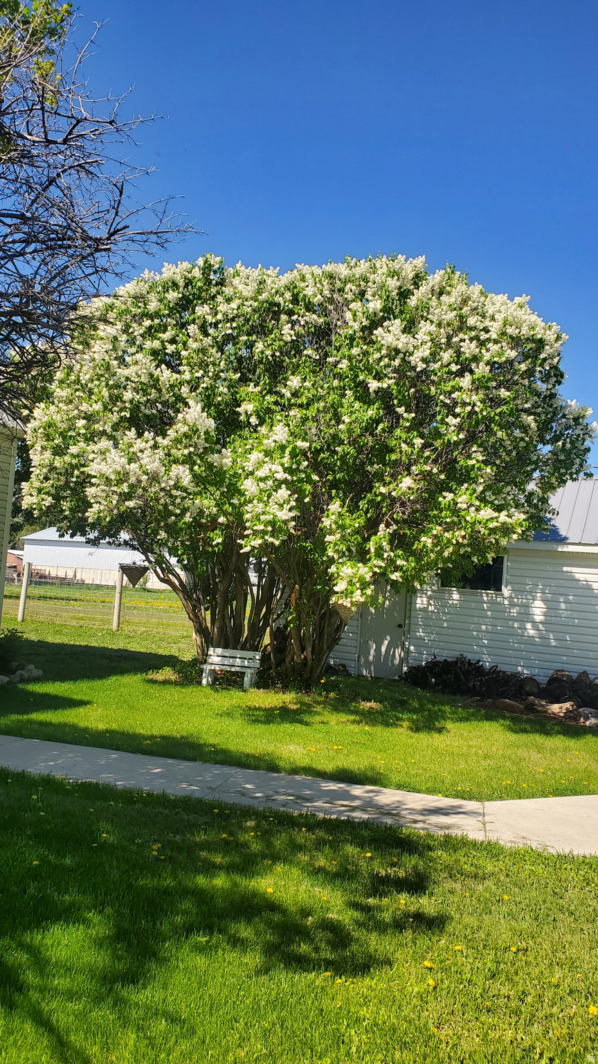main property photo 65