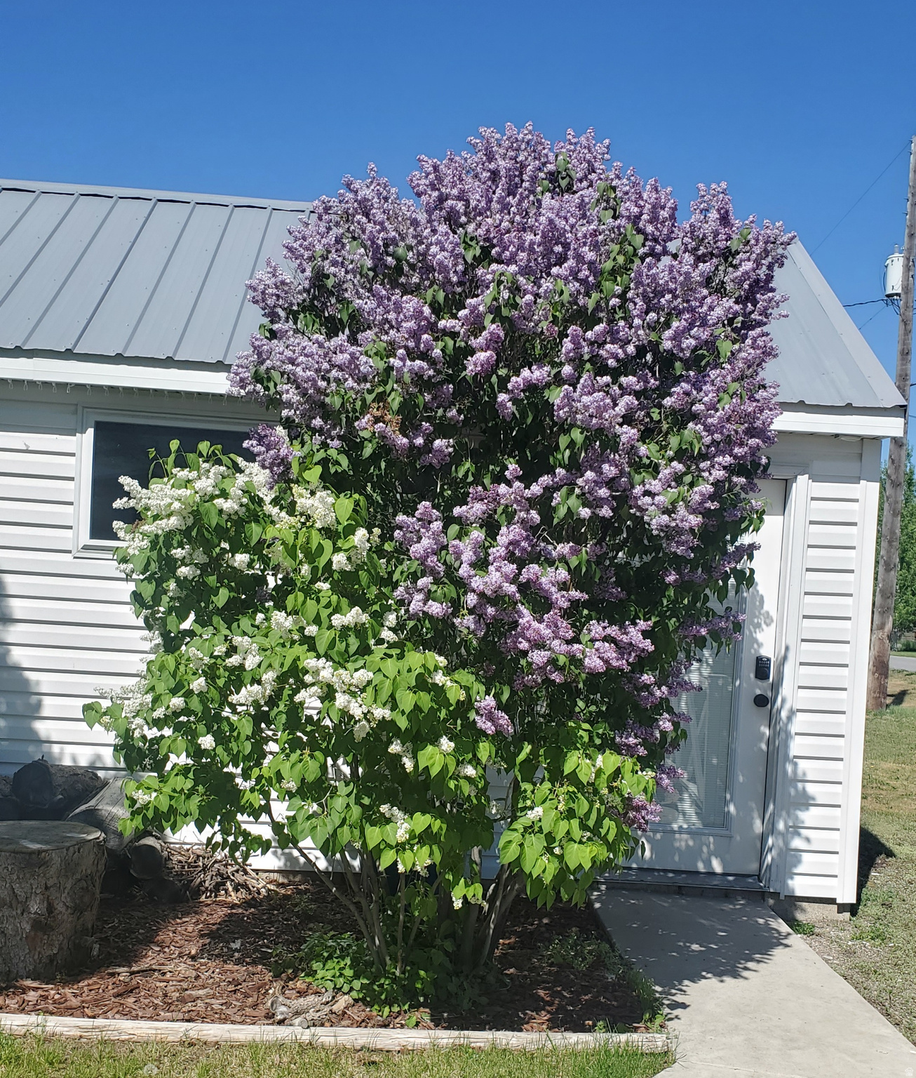 main property photo 66