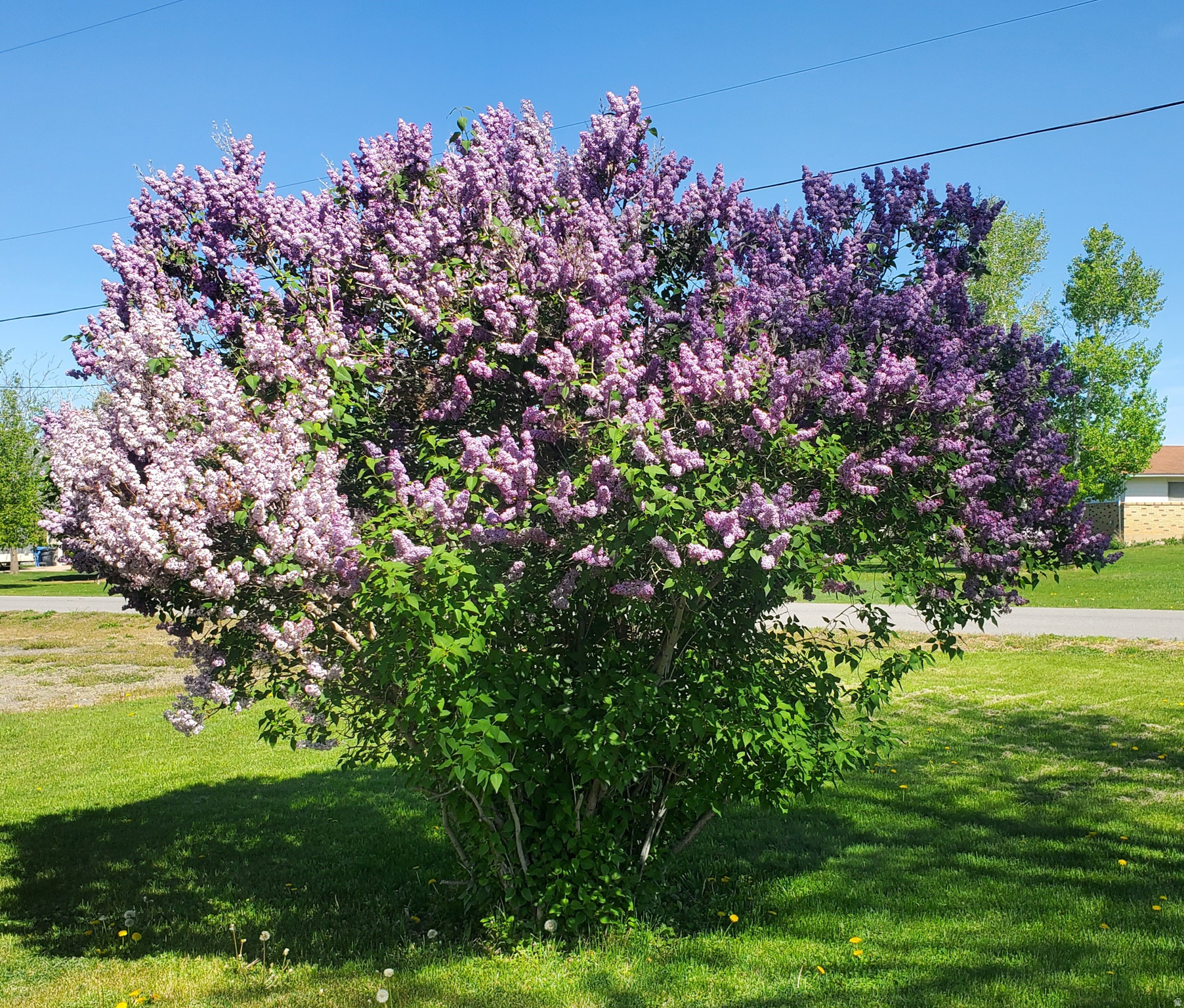 main property photo 67