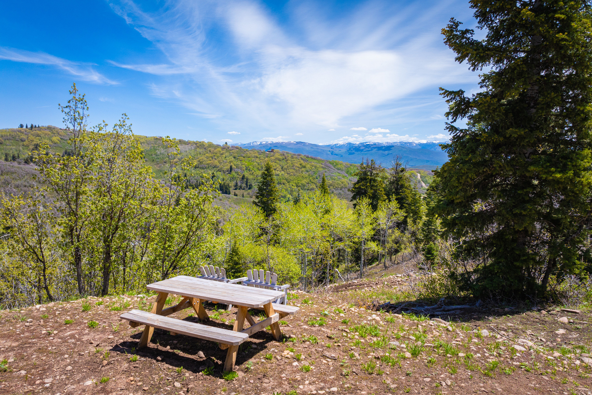 main property photo 55