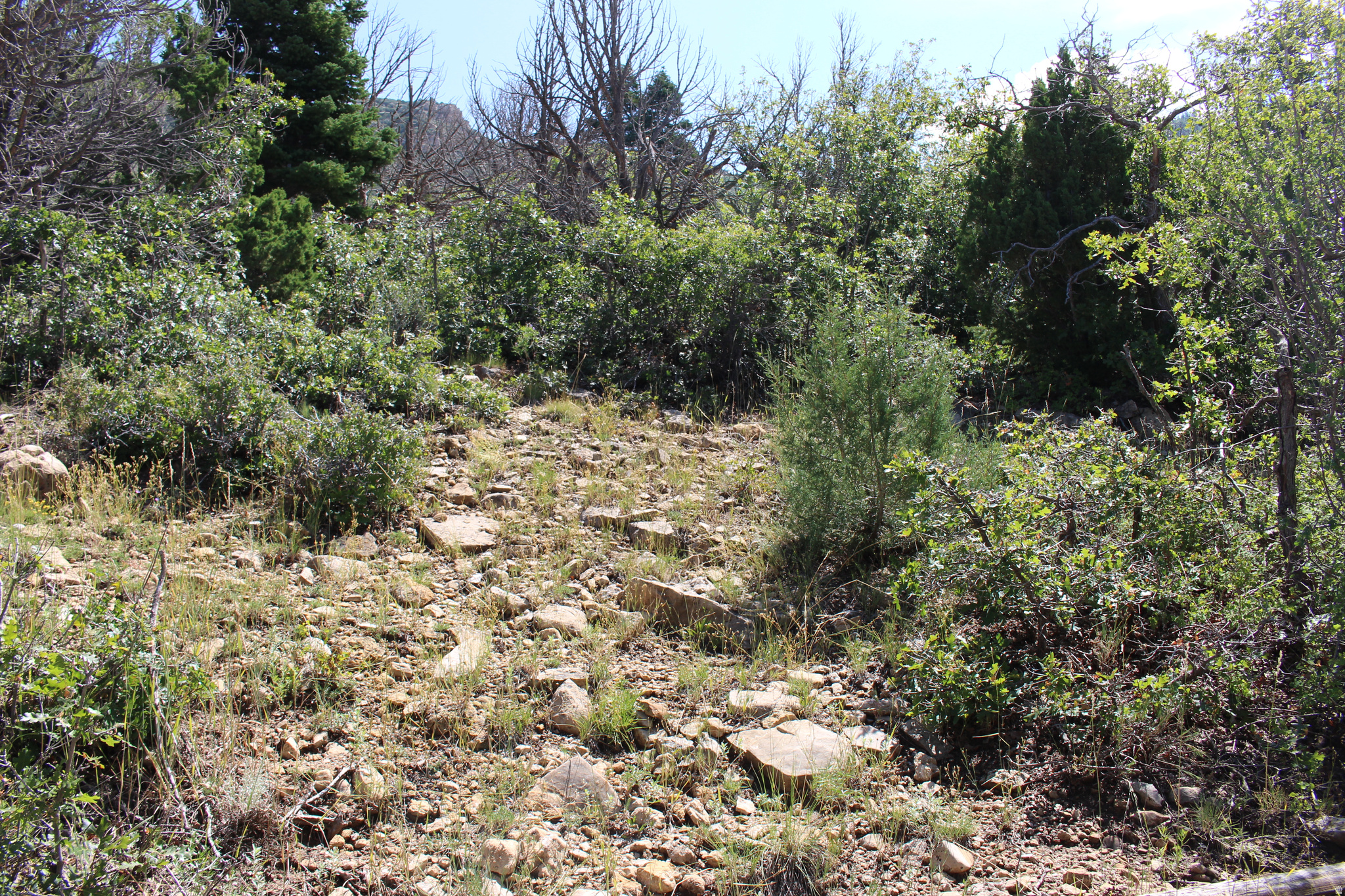 main property photo 11