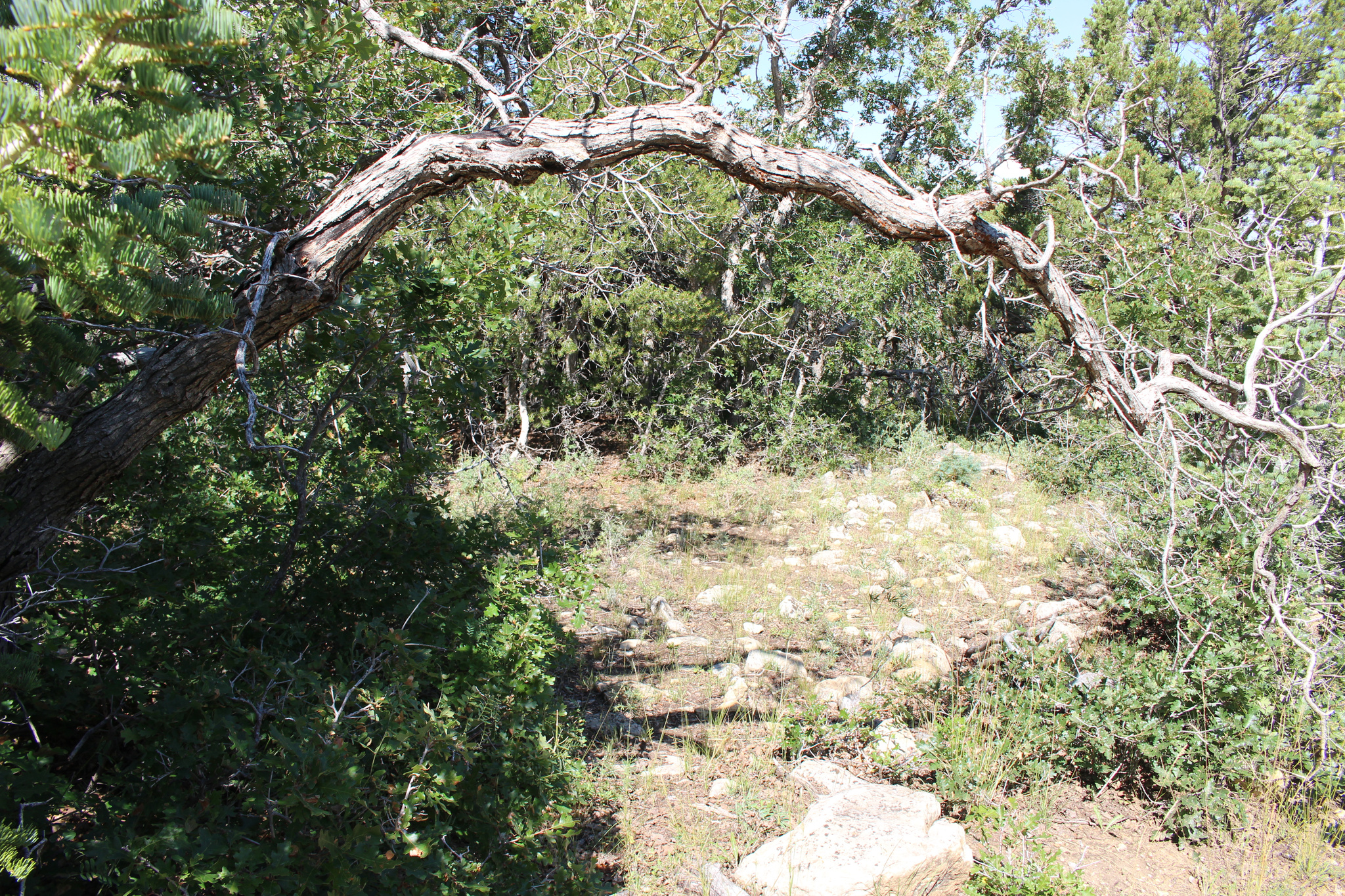 main property photo 7