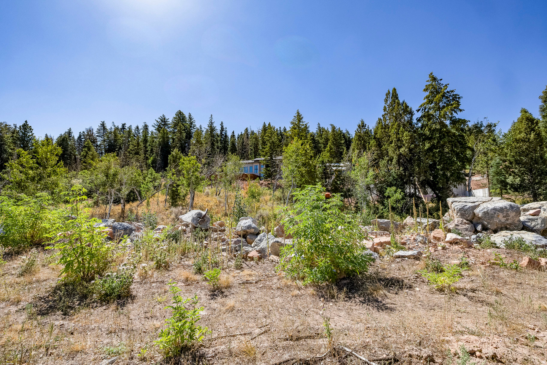 main property photo 19