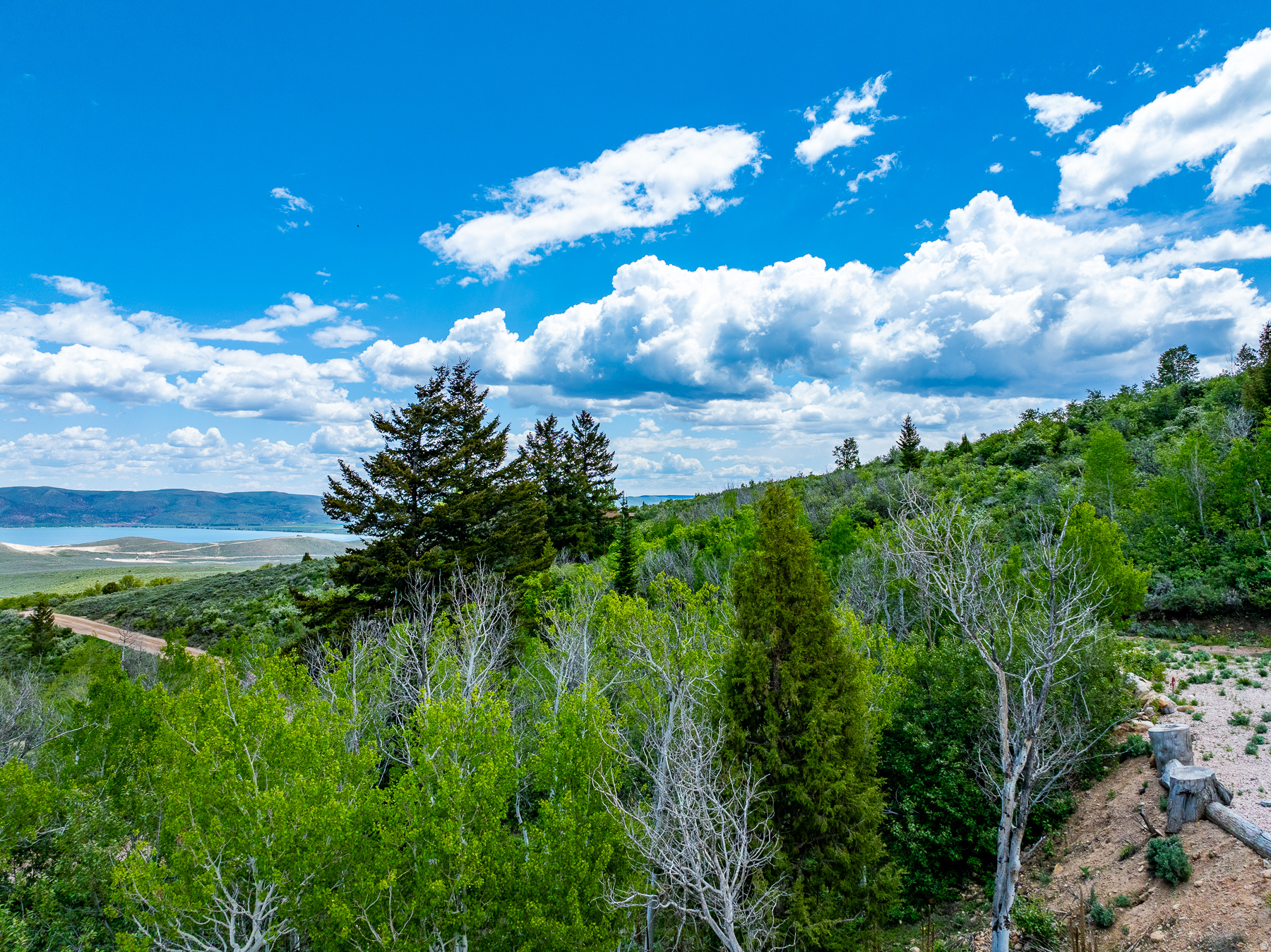 main property photo 46