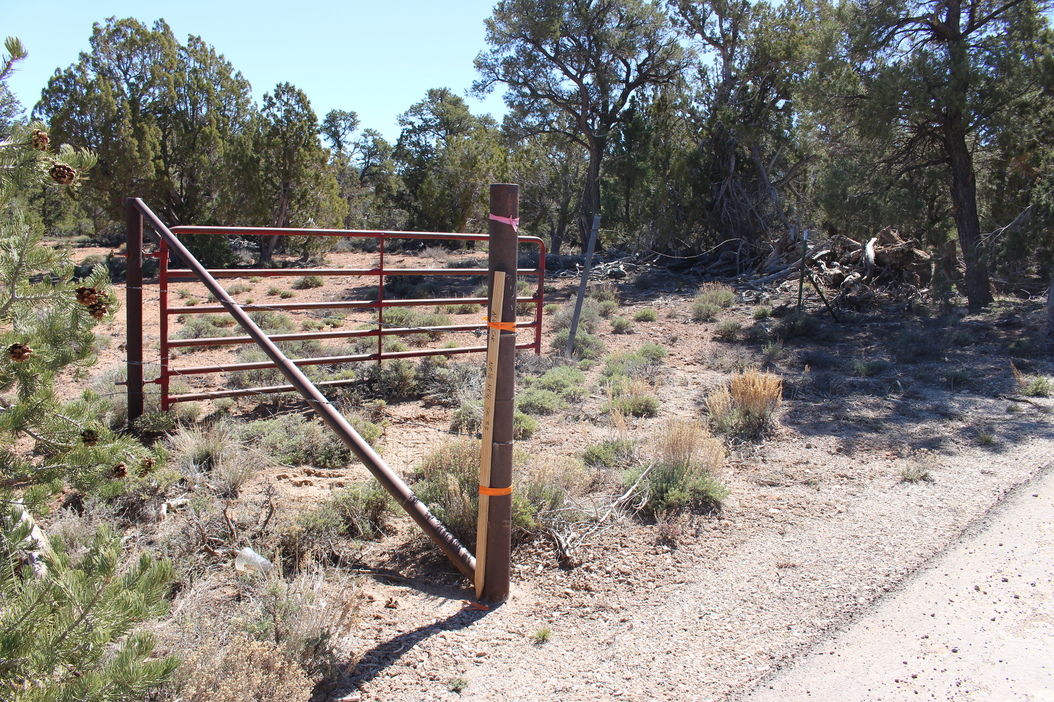 main property photo 15
