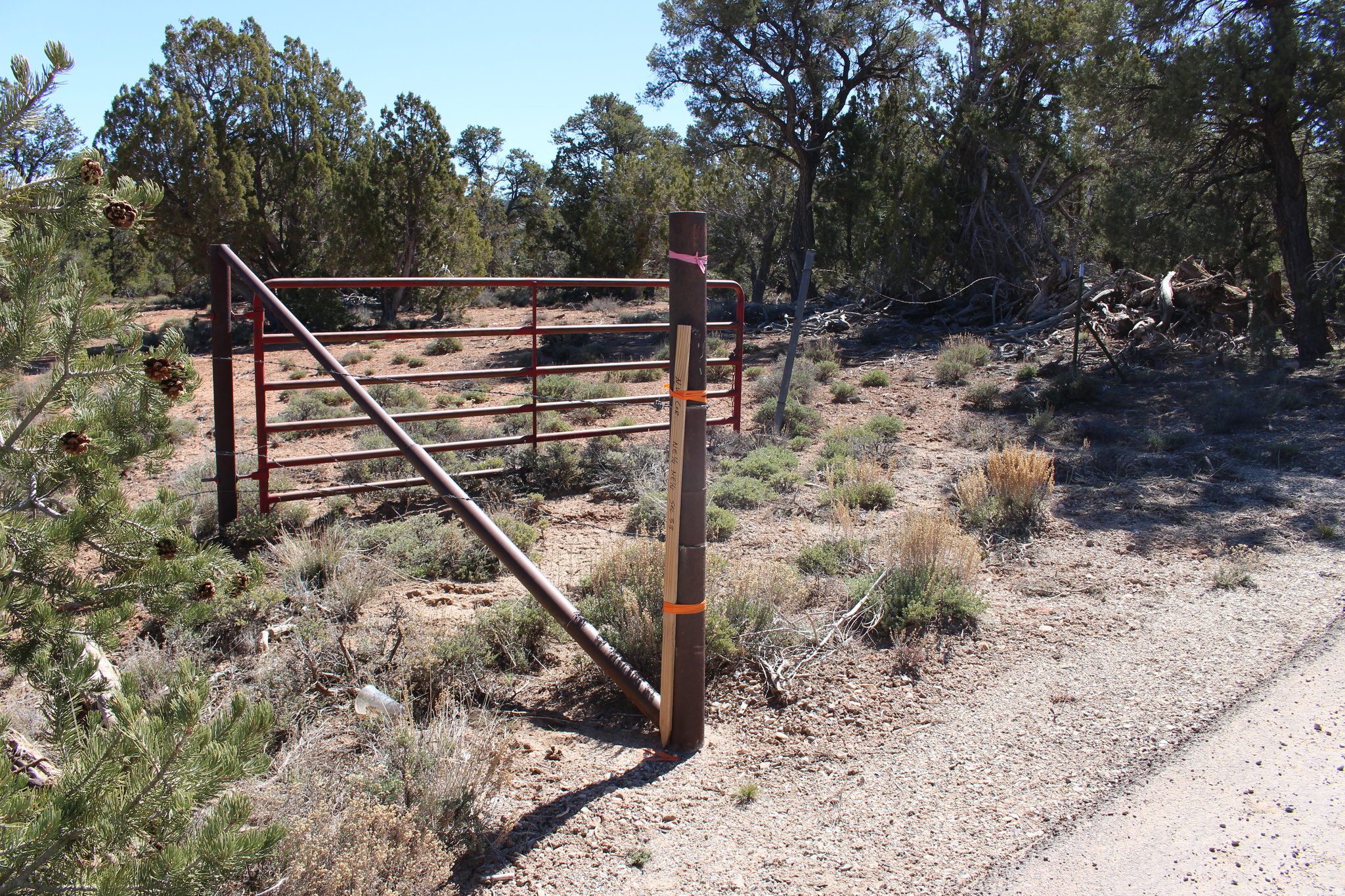 main property photo 16