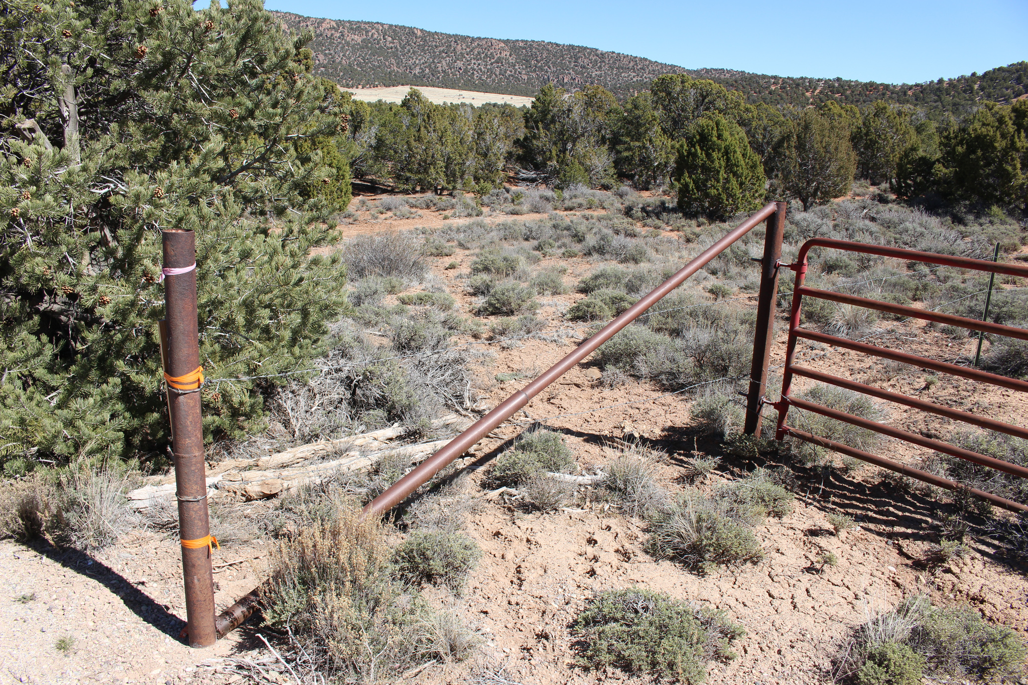 main property photo 17