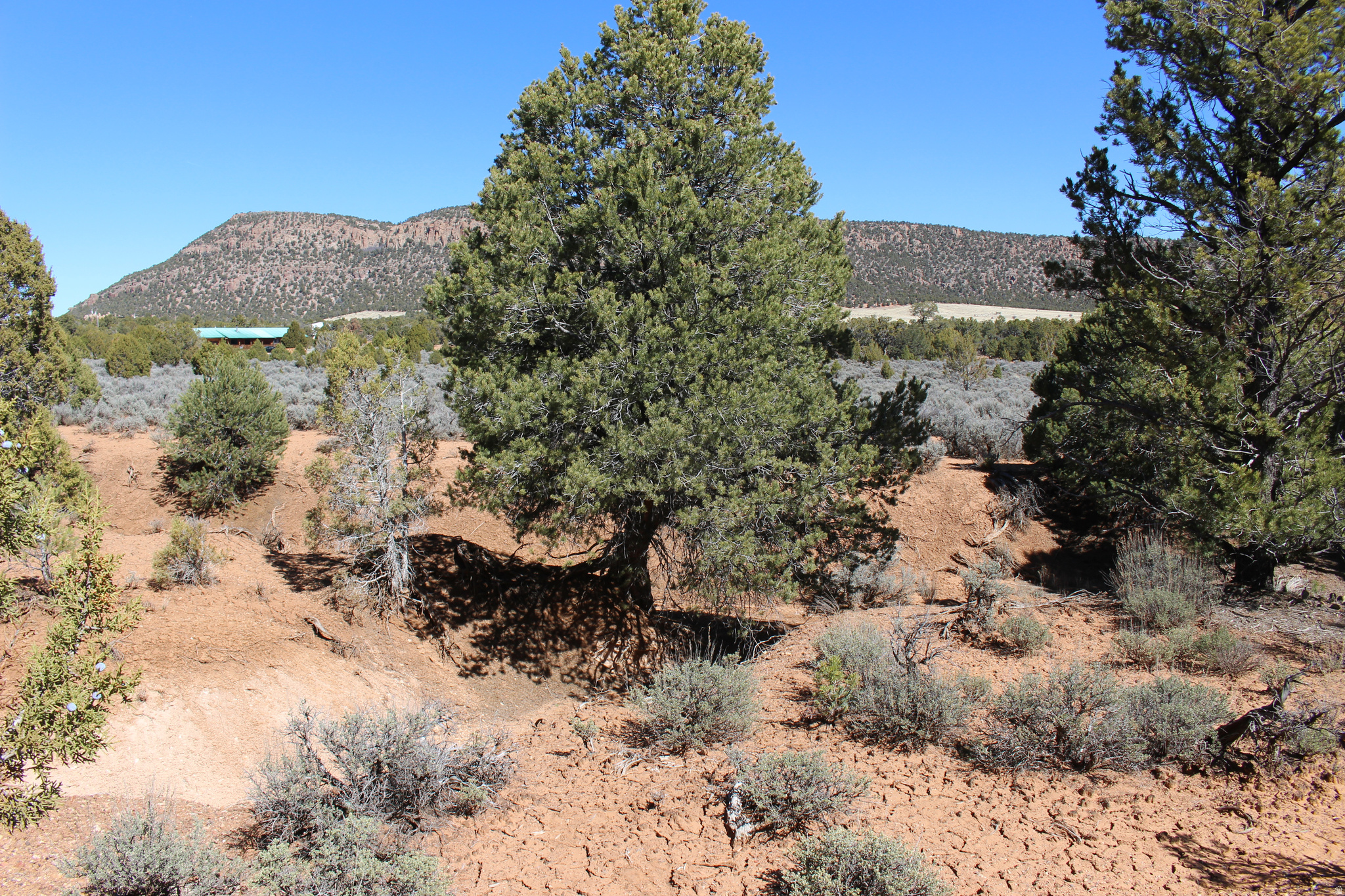 main property photo 7