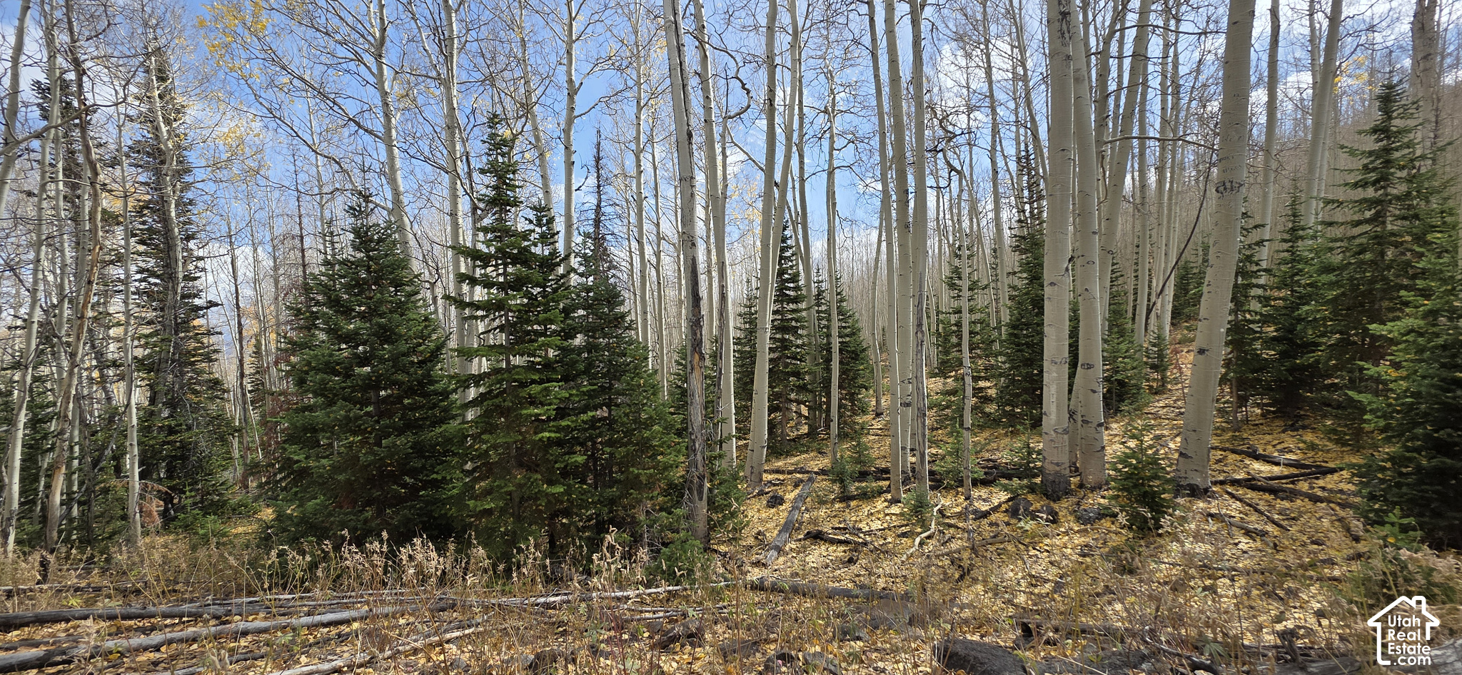 main property photo 6