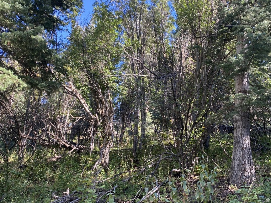 main property photo 11