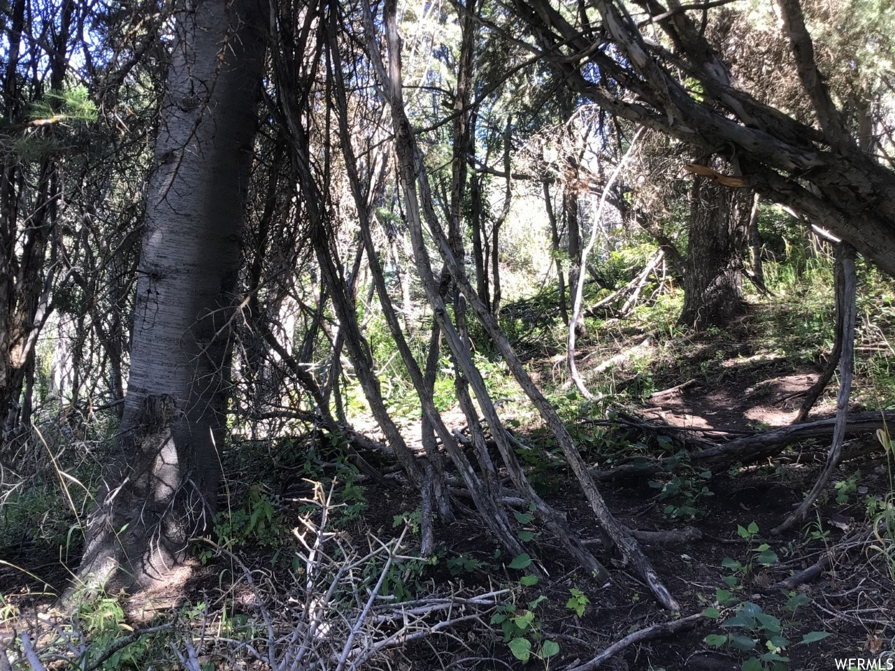 main property photo 13