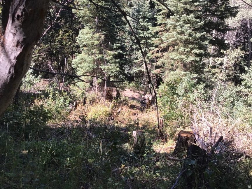 main property photo 14