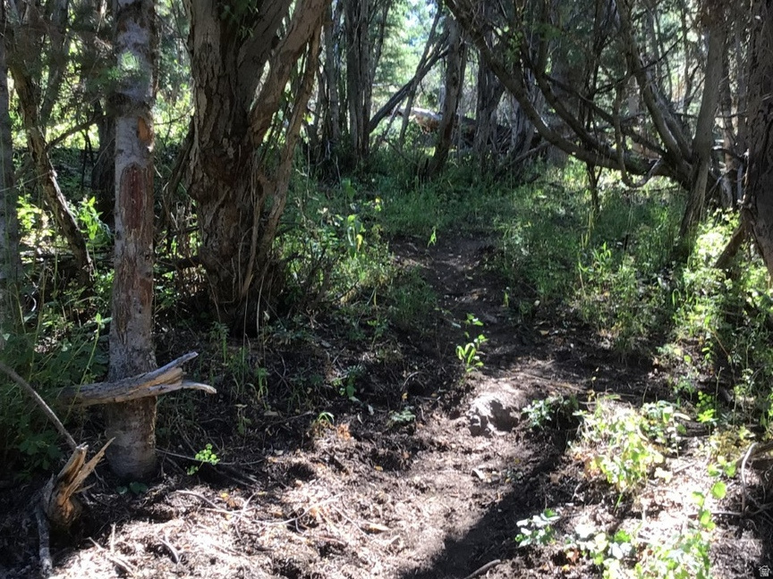 main property photo 15