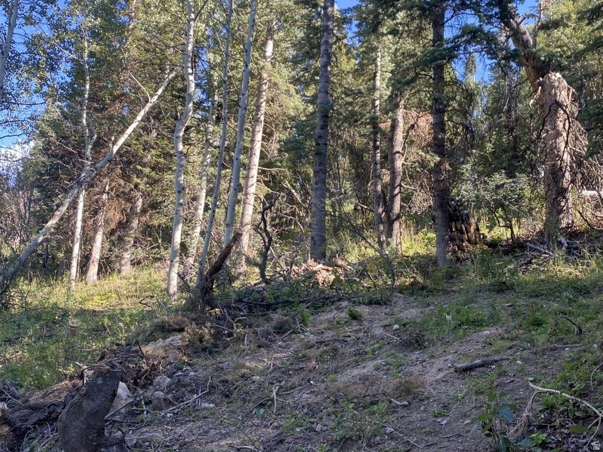 main property photo 16