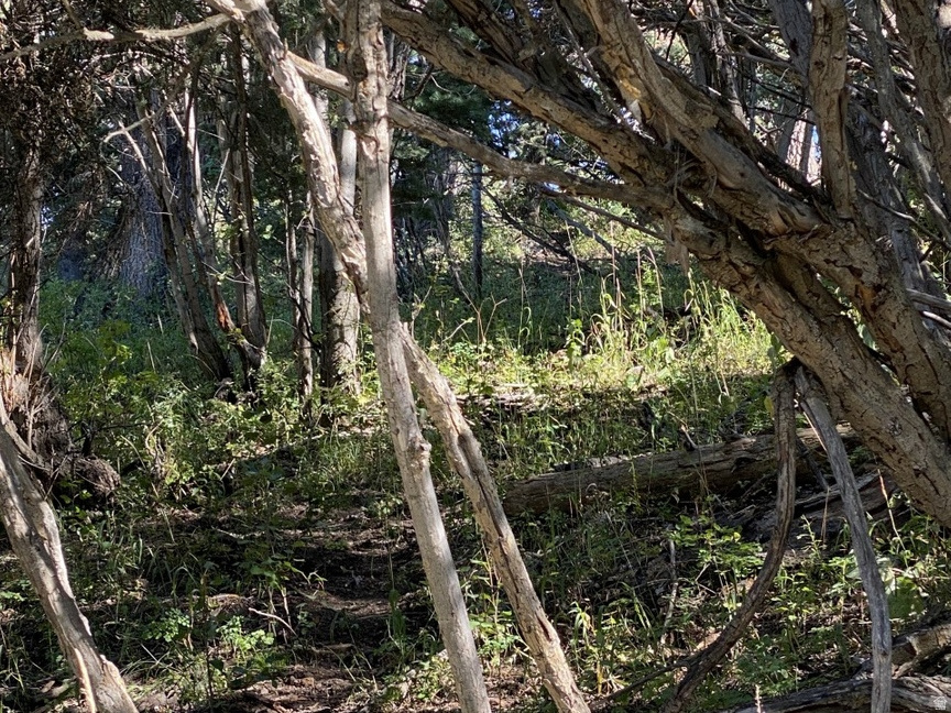 main property photo 21