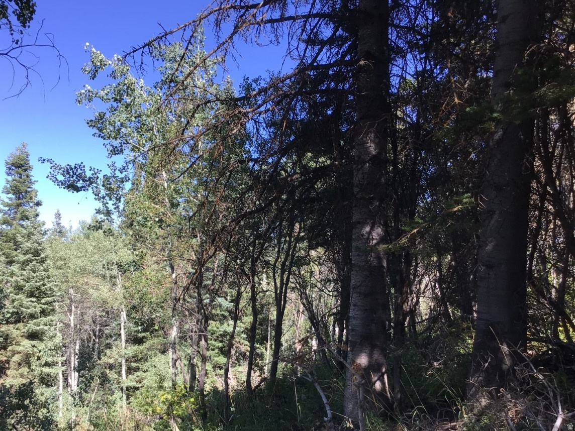 main property photo 22