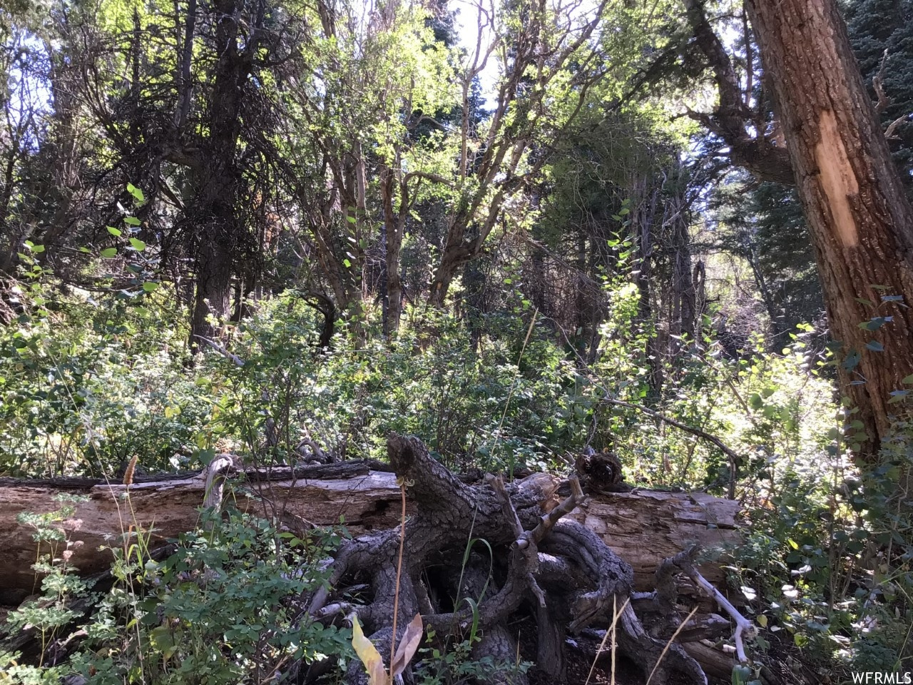 main property photo 23