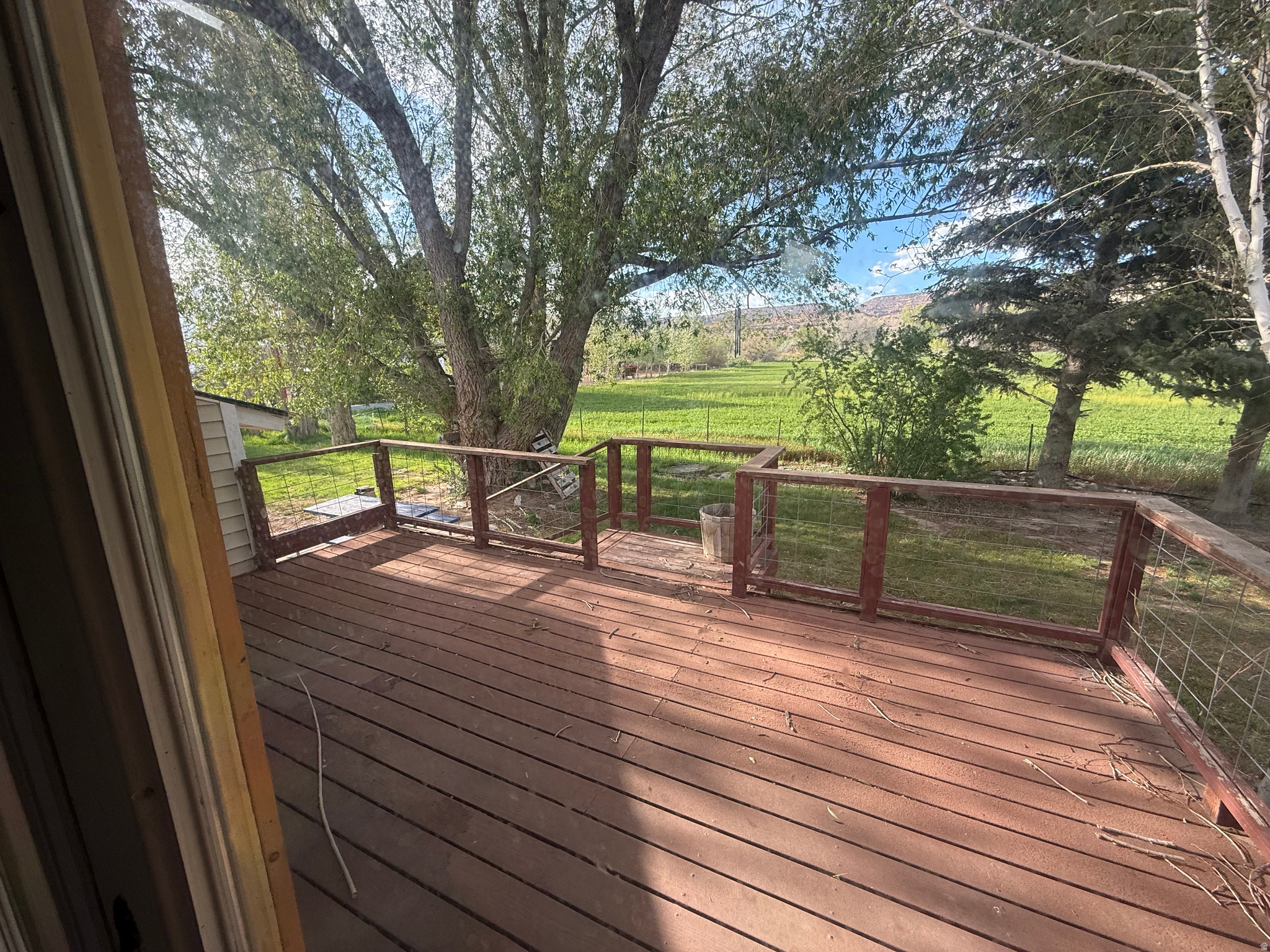 main property photo 33