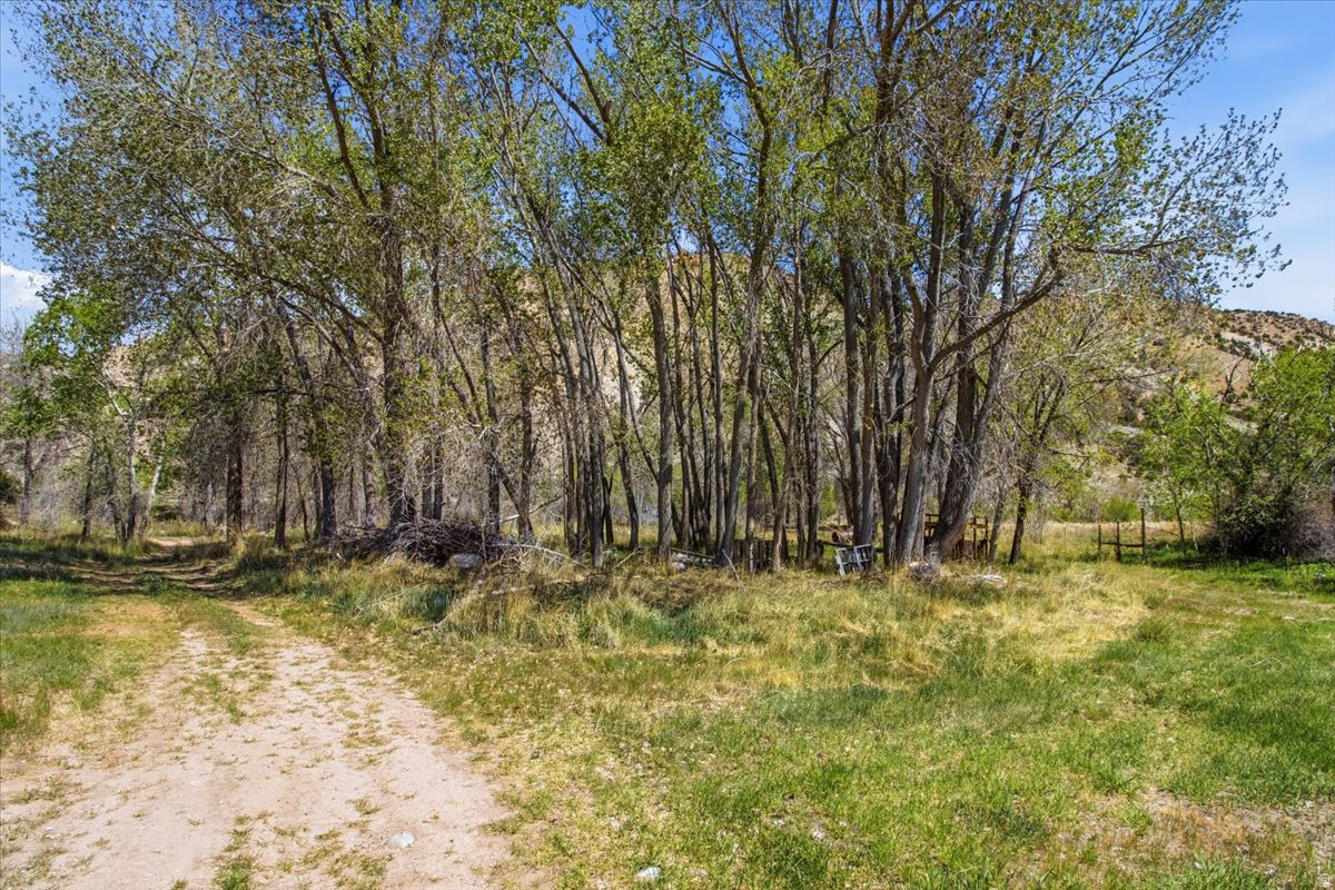 main property photo 51